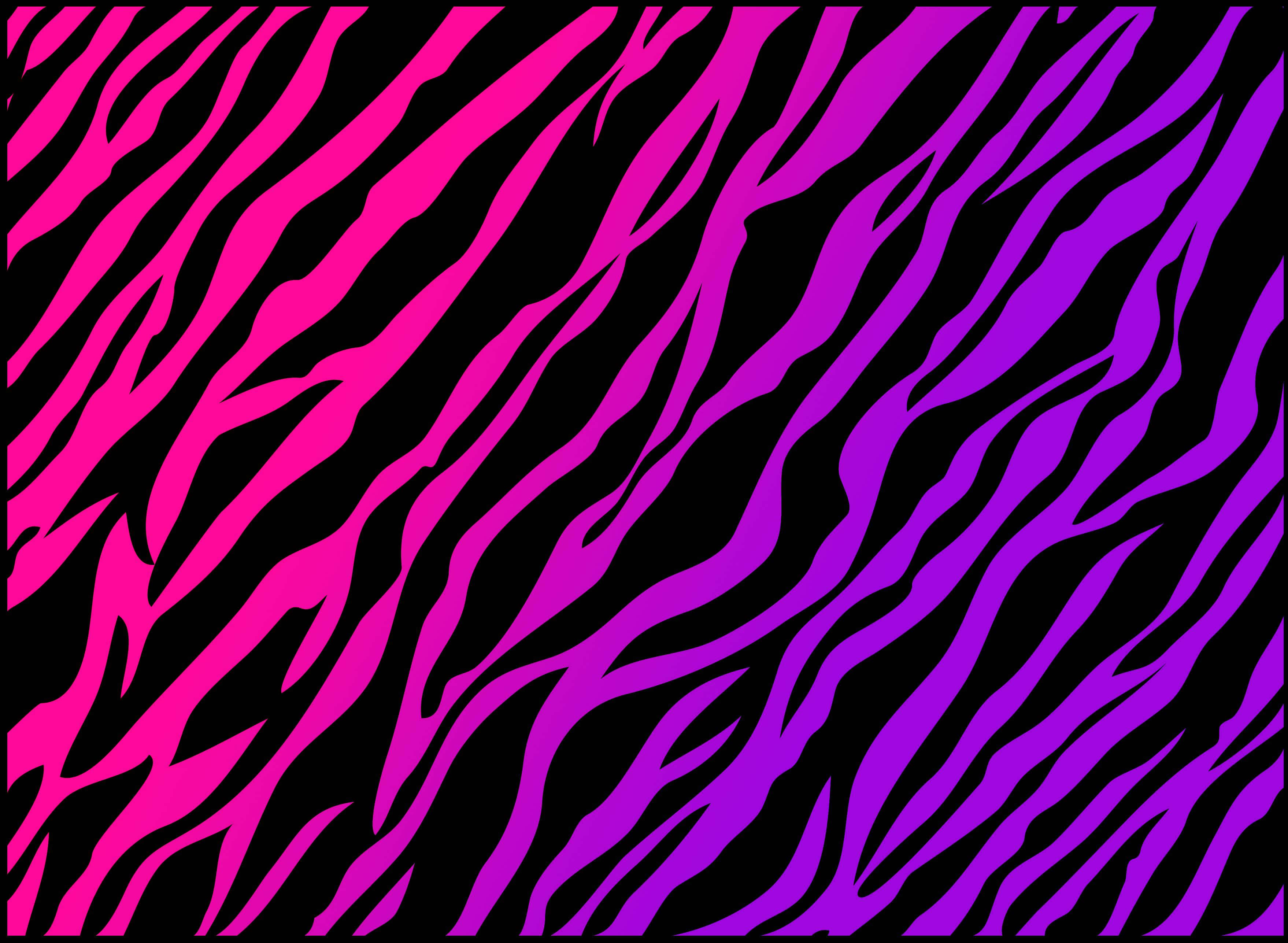 Animal Print, vibrant pink, purple zebra stripes, 2K Desktop Wallpaper