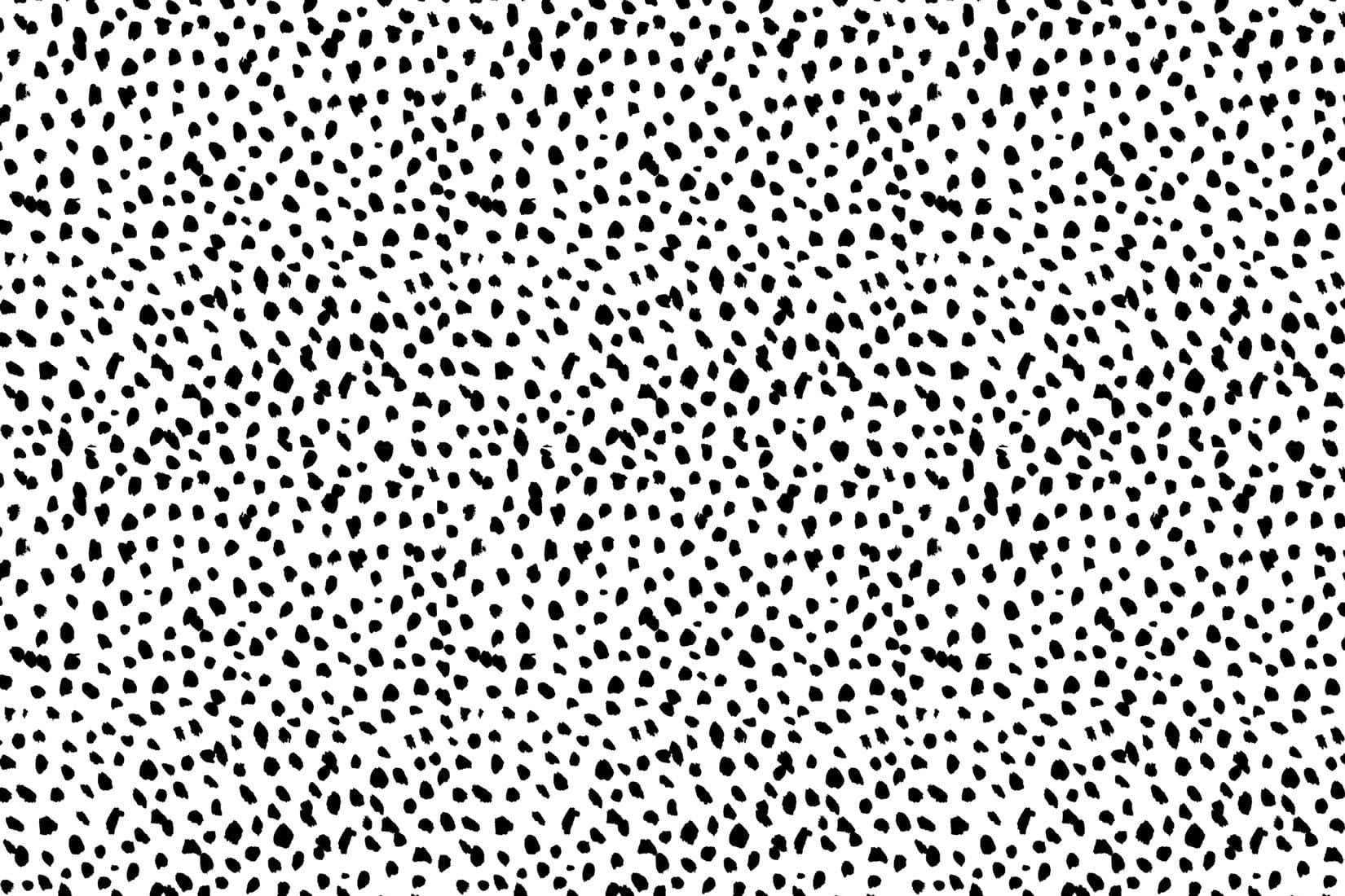 Dalmatian Print, black and white pattern, irregular ink splatters, HD Desktop Wallpaper