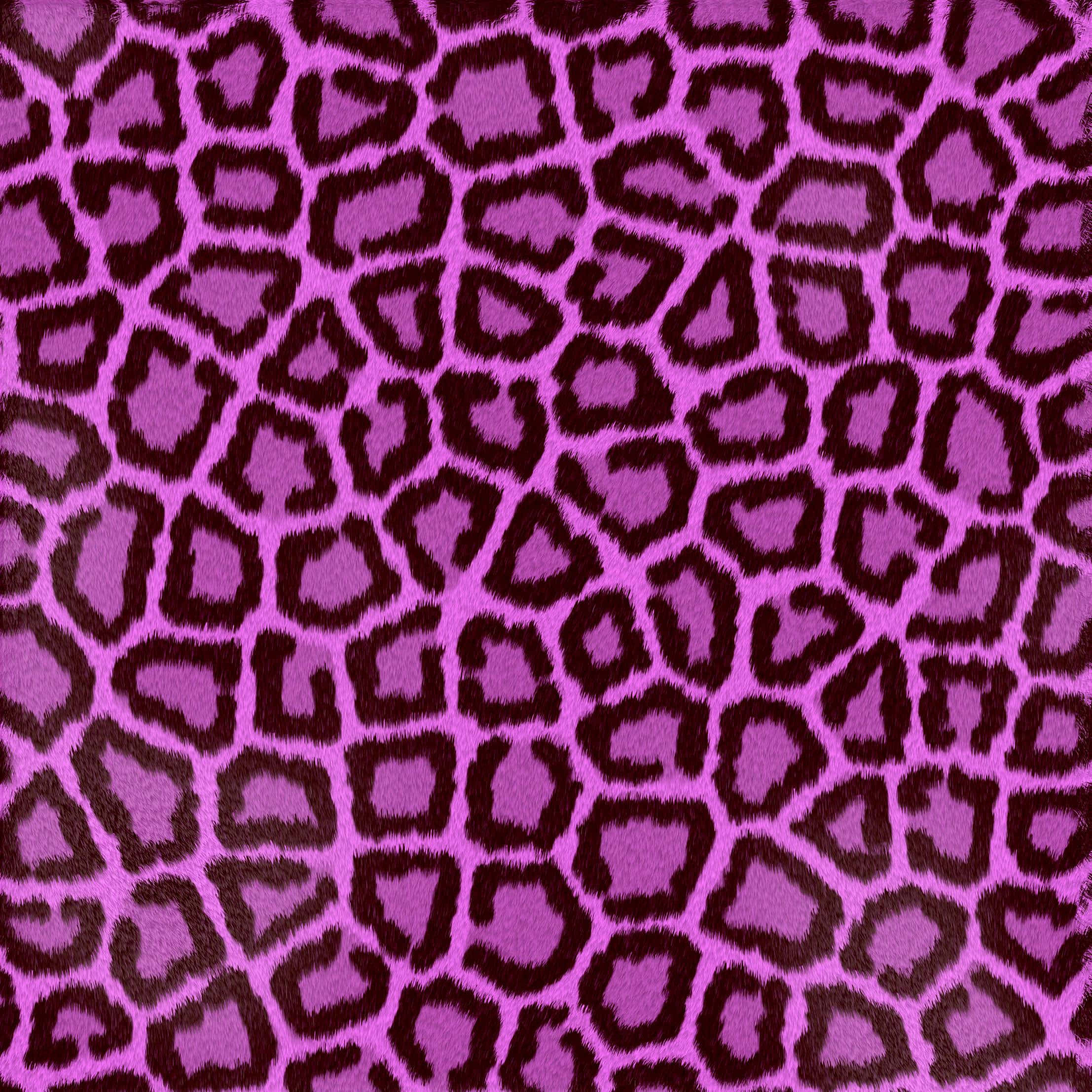 zebra striped walls, vibrant purple fabric, bold dark brown leopard spots, Full HD Desktop Wallpaper