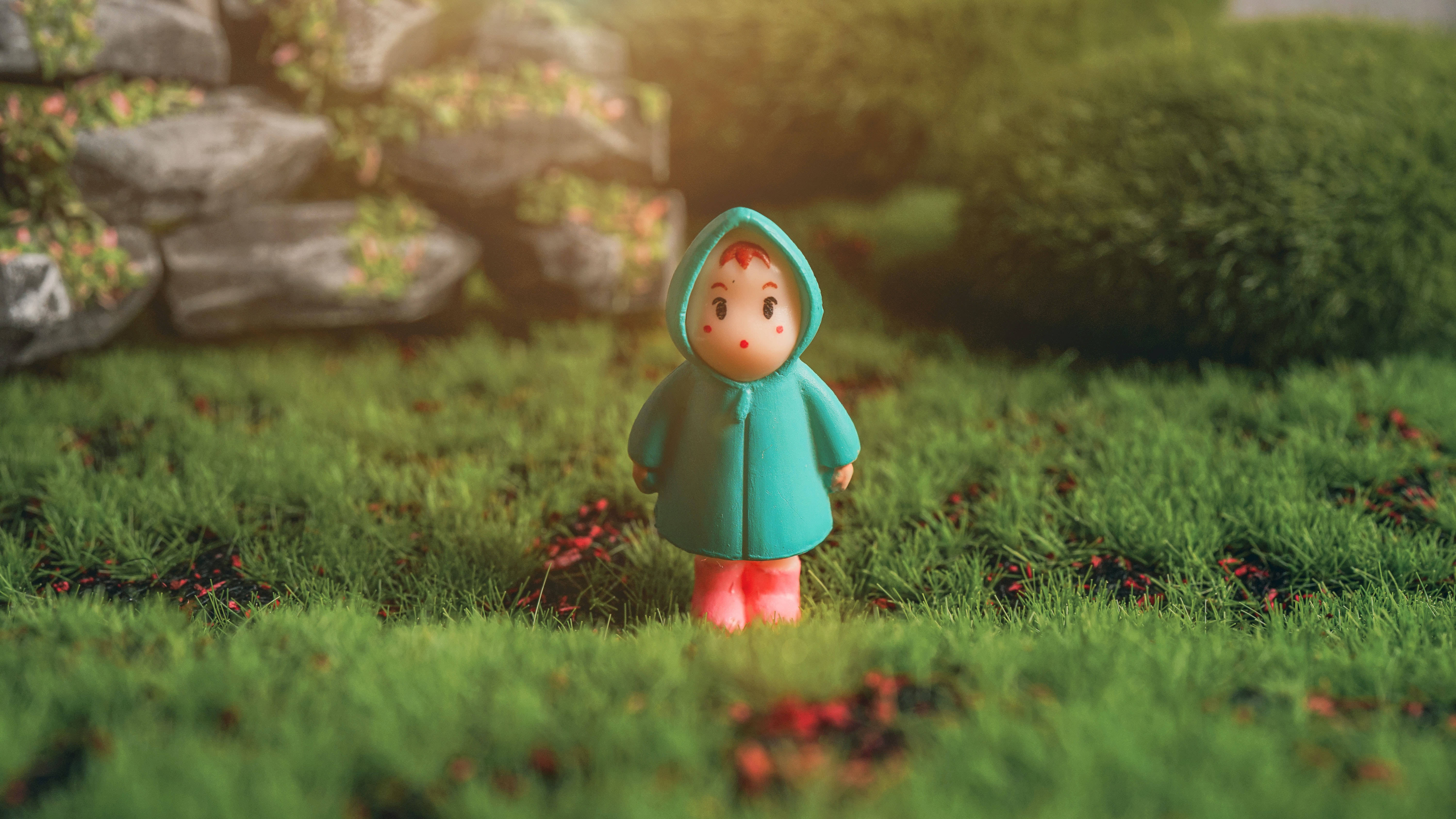 teal hooded raincoat, sunlit grassy field, scattered red flowers, 5K Desktop Wallpaper