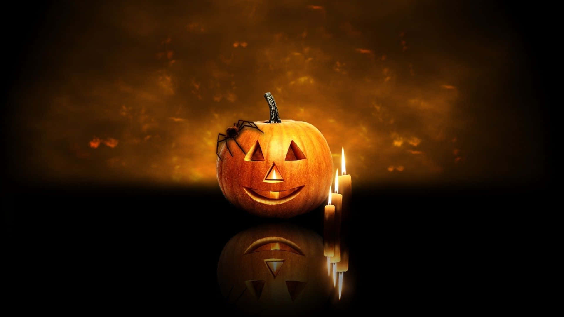 Animated Halloween, jack-o'-lantern, spider, Full HD Desktop Wallpaper