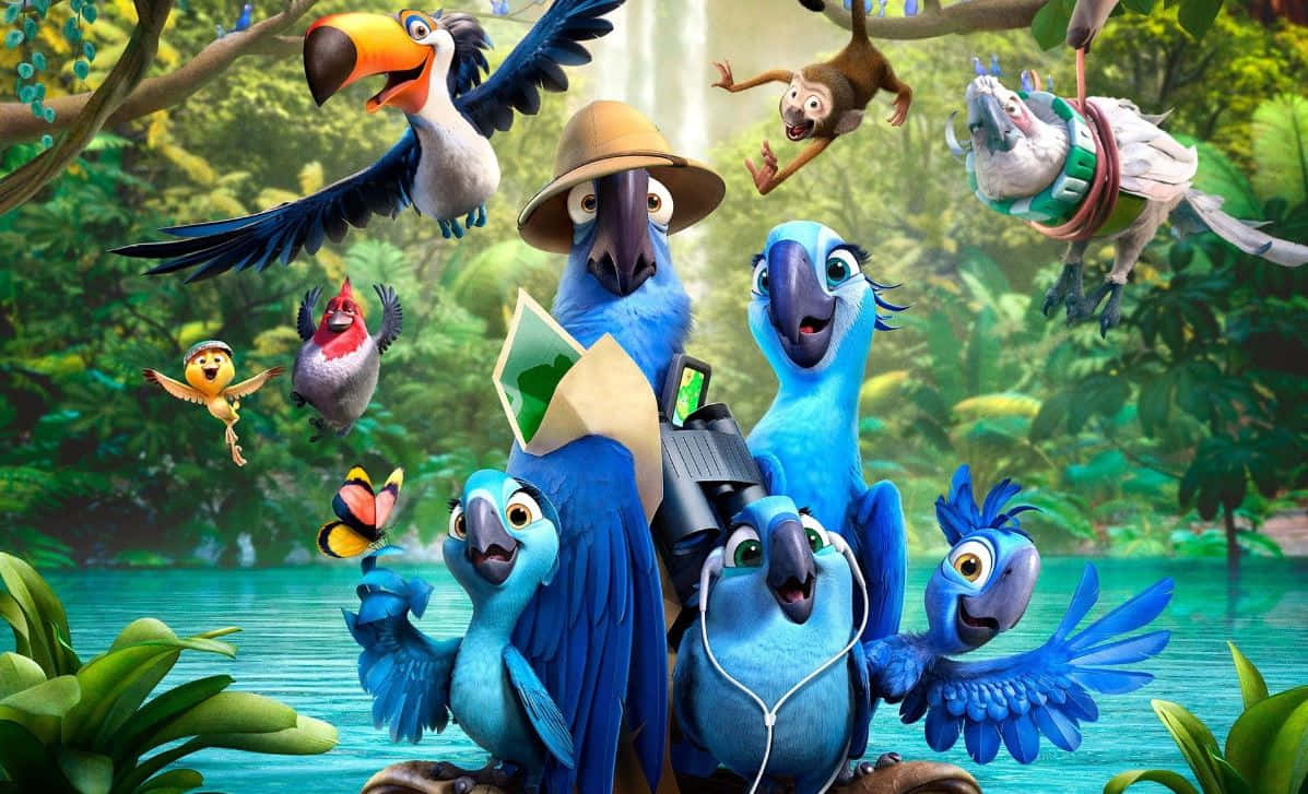 Enchanting Kingdom in the Sky, blue macaws, colorful birds, SD Desktop Wallpaper