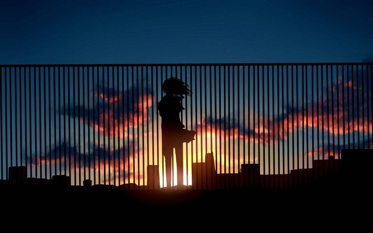 Girl, Roof, Fence, HD Desktop Wallpaper