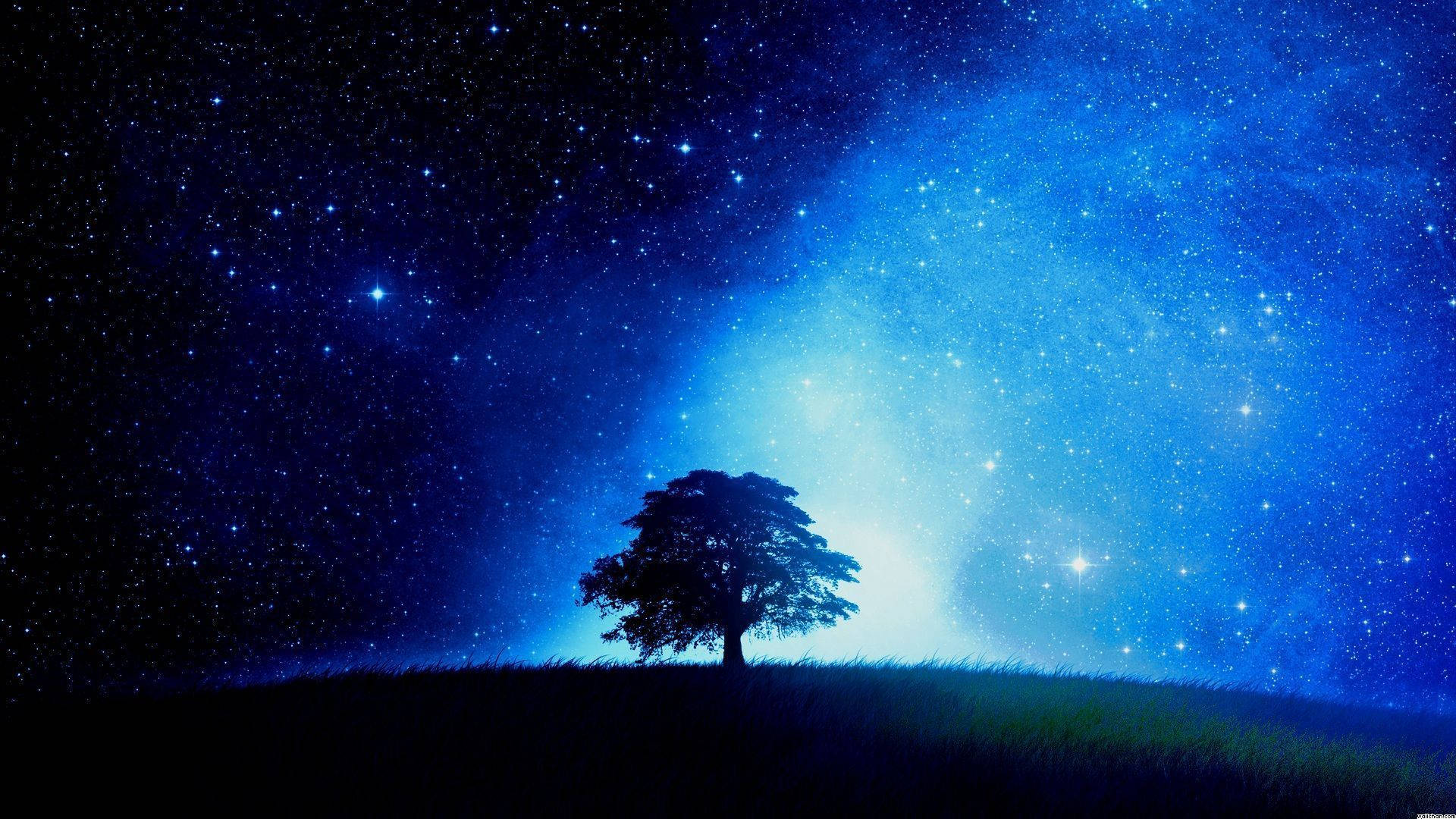 tree silhouette, grassy hill, vibrant starry night sky, Full HD Desktop Wallpaper