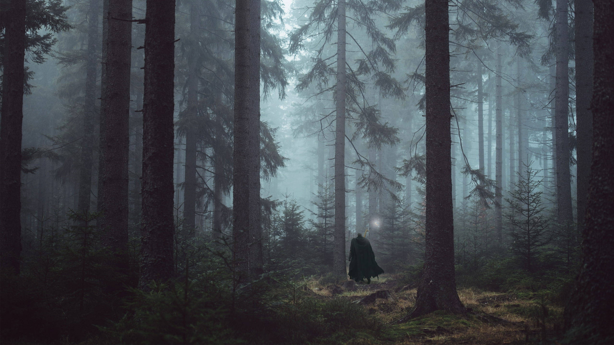 Anime Berserk, cloaked figure, misty pine forest, 2K Desktop Wallpaper