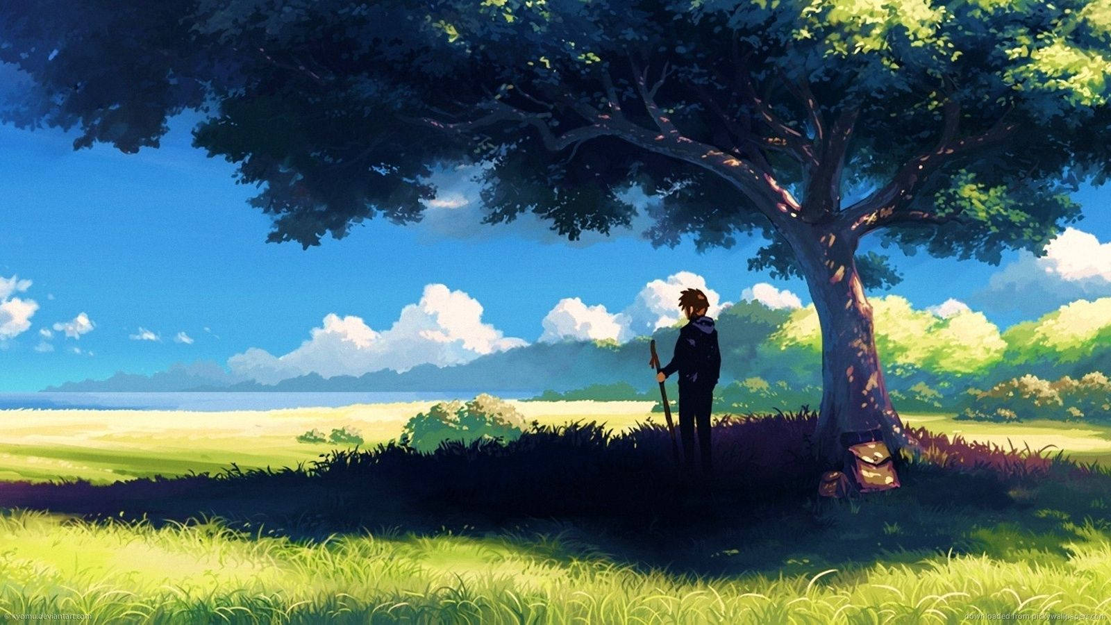 anime boy, majestic cliff, giant tree, HD Desktop Wallpaper