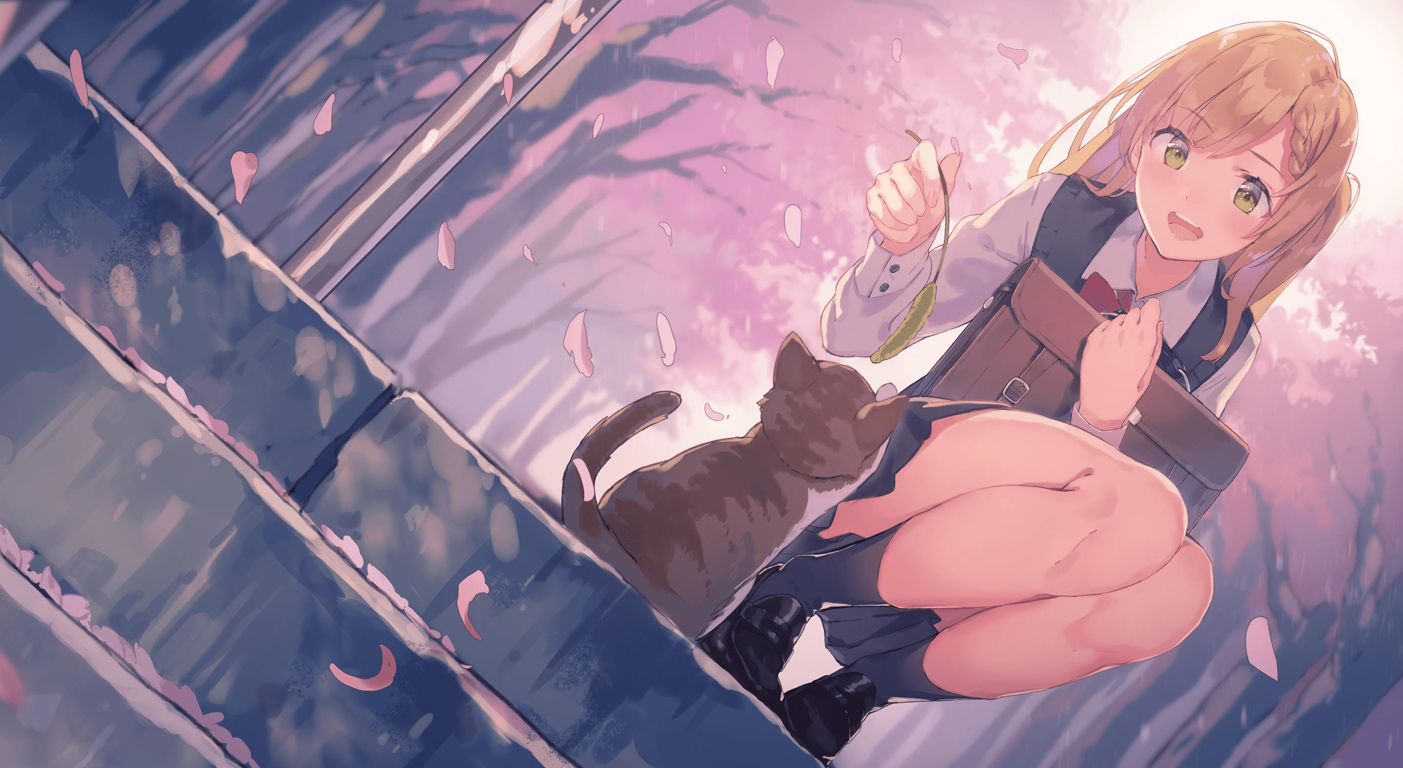 schoolgirl anime cat, anime girl, school uniform, 2K Desktop Wallpaper