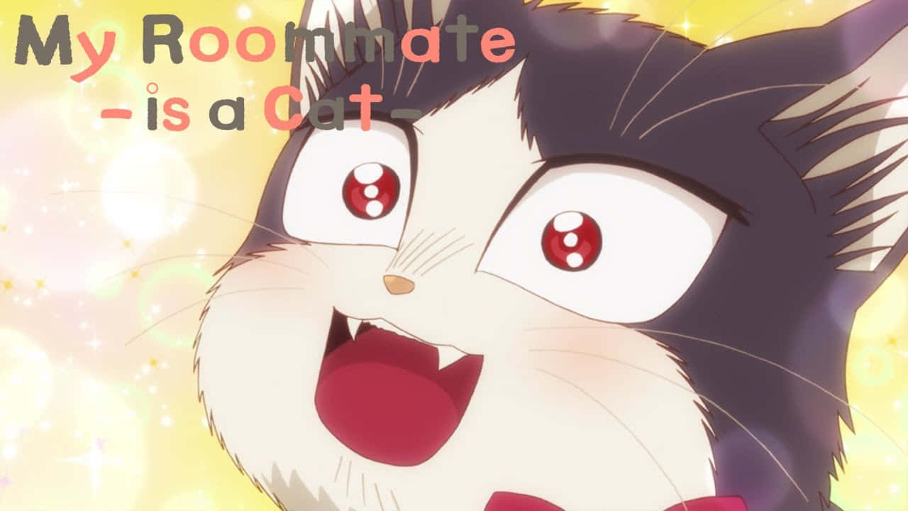 my roommate is a cat anime, black and white anime cat, red eyes, HD Desktop Wallpaper