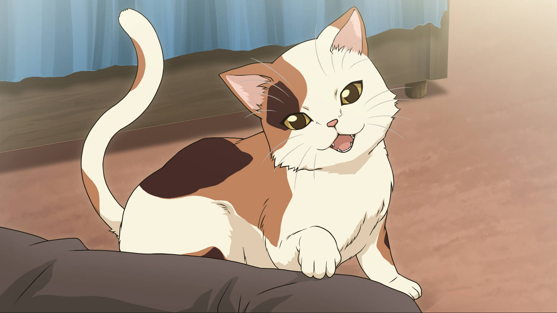 anime calico cat, calico cat, brown and white fur, Full HD Desktop Wallpaper