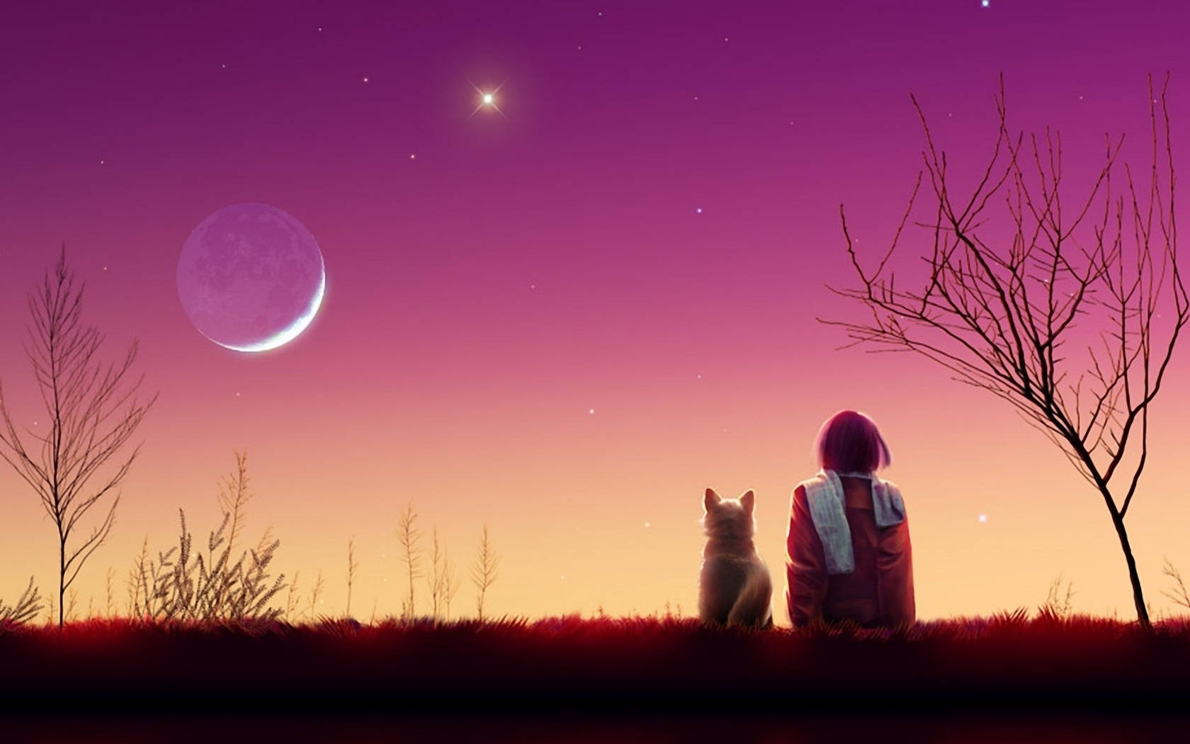 girl, cat, anime aesthetic, HD Desktop Wallpaper