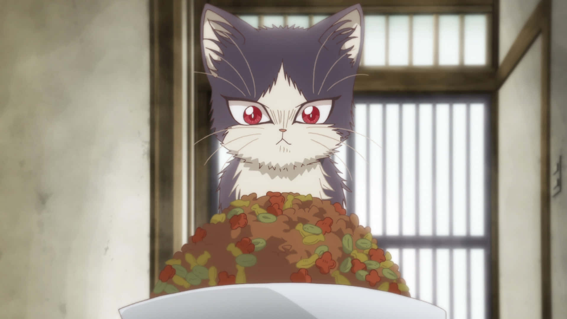 anime cat, red eyes, colorful food, HD Desktop Wallpaper