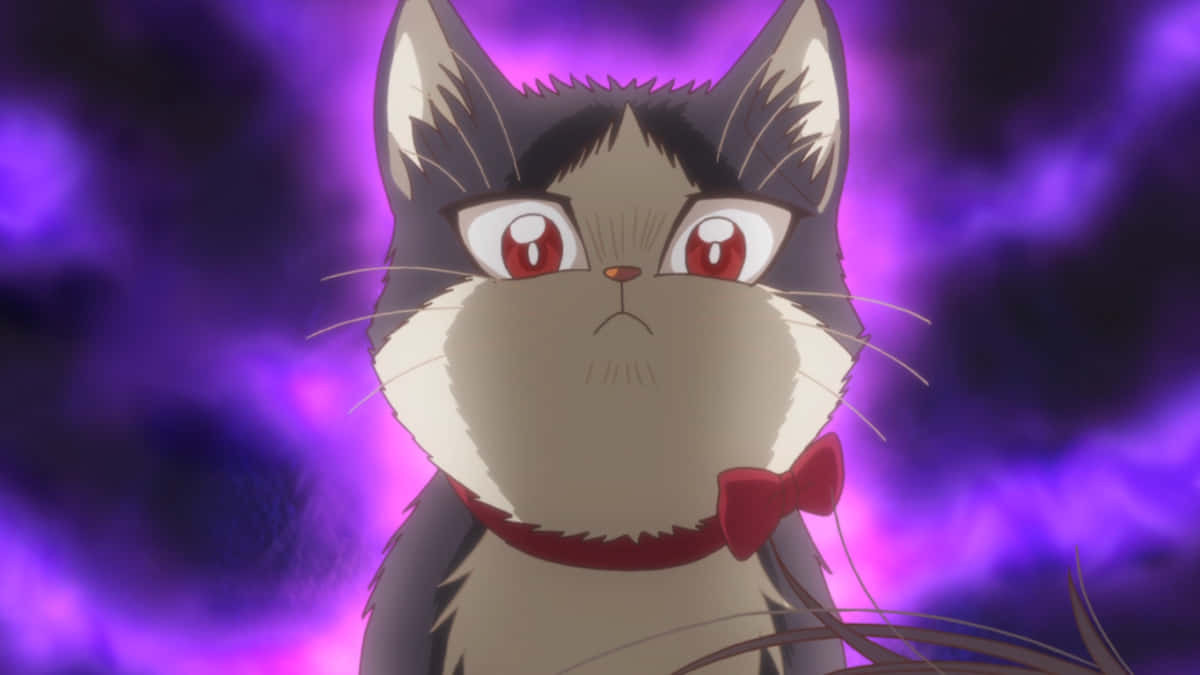 fluffy anime cat, red eyes, red bowtie, SD Desktop Wallpaper