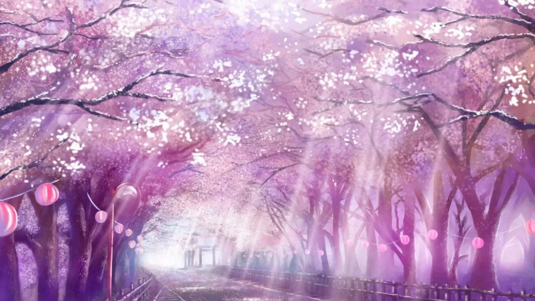 Anime Cherry Blossom