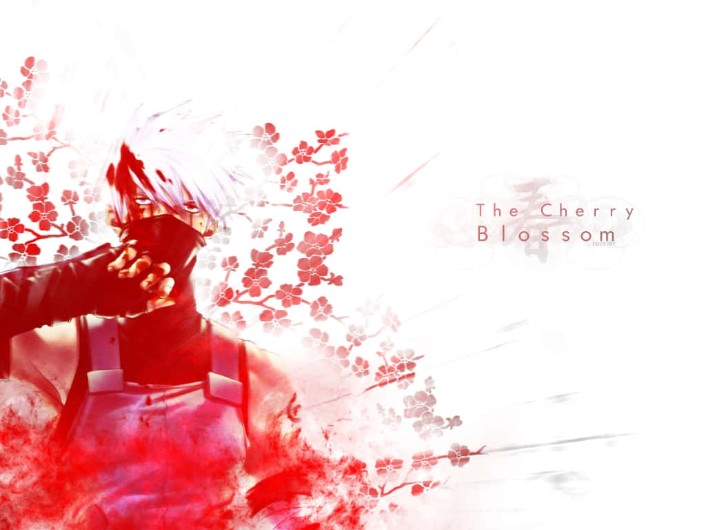 Anime Cherry Blossom Warrior, white hair, red accents, SD Desktop Wallpaper