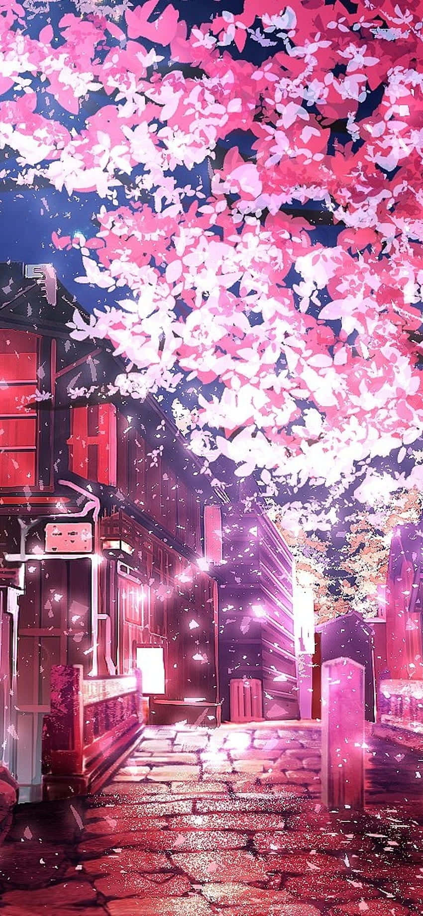 enchanted nighttime cherry blossoms, glowing pink cherry blossoms, warm lanterns, HD Phone Wallpaper