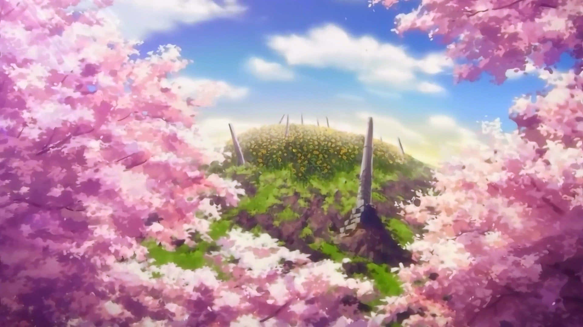 Anime Cherry Blossom, hillside view, pink cherry blossoms, Full HD Desktop Wallpaper