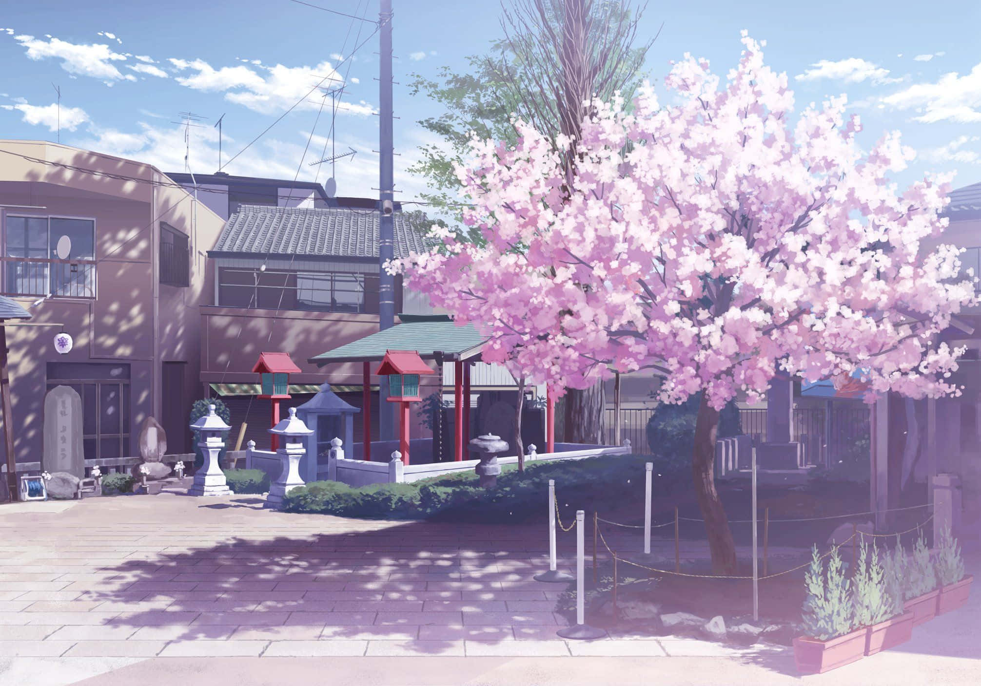 Anime Cherry Blossom, cherry blossom tree, traditional Japanese shrine, Full HD Desktop Wallpaper