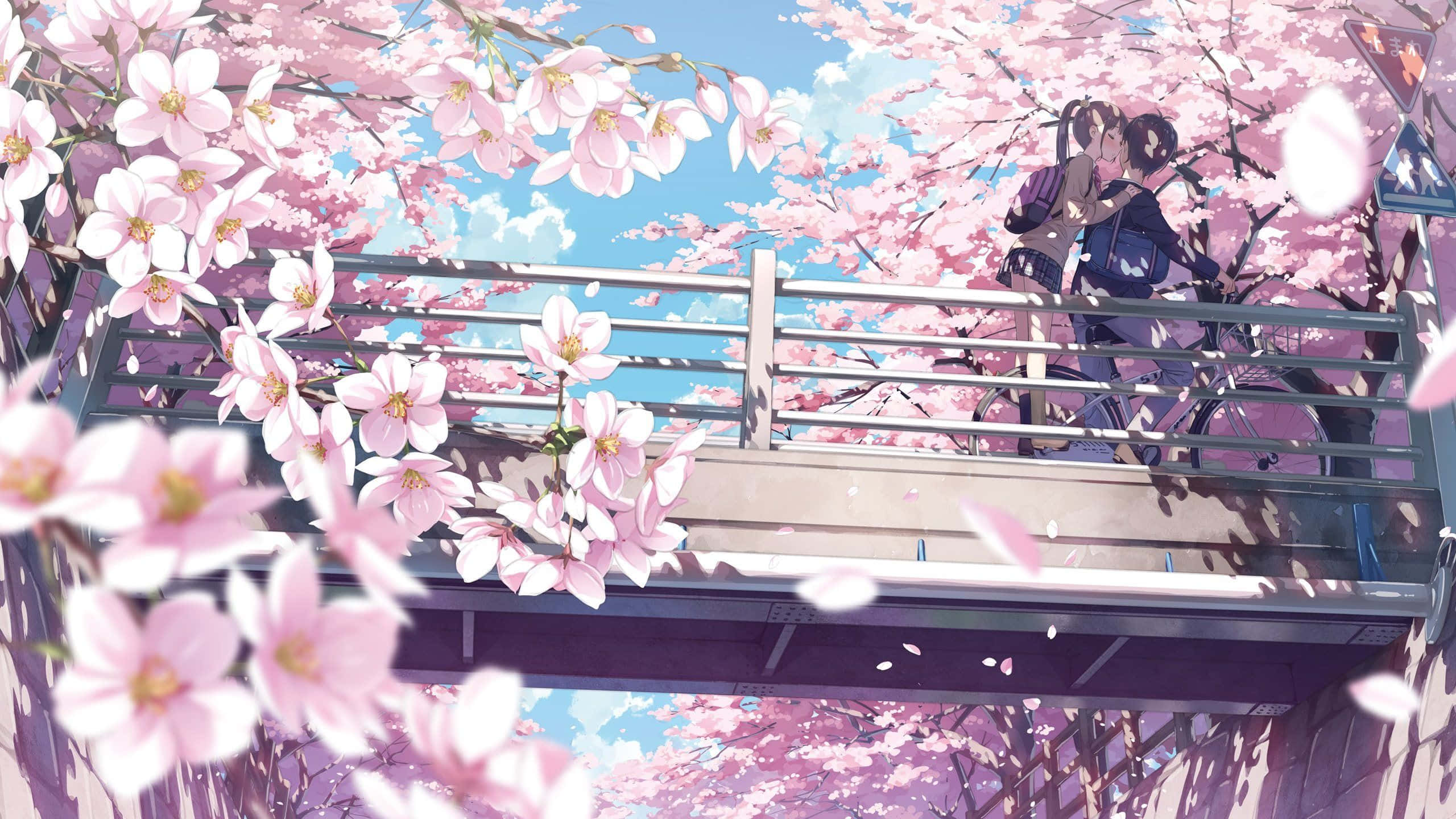 anime girl, cherry blossoms, metal bridge, 2K Desktop Wallpaper
