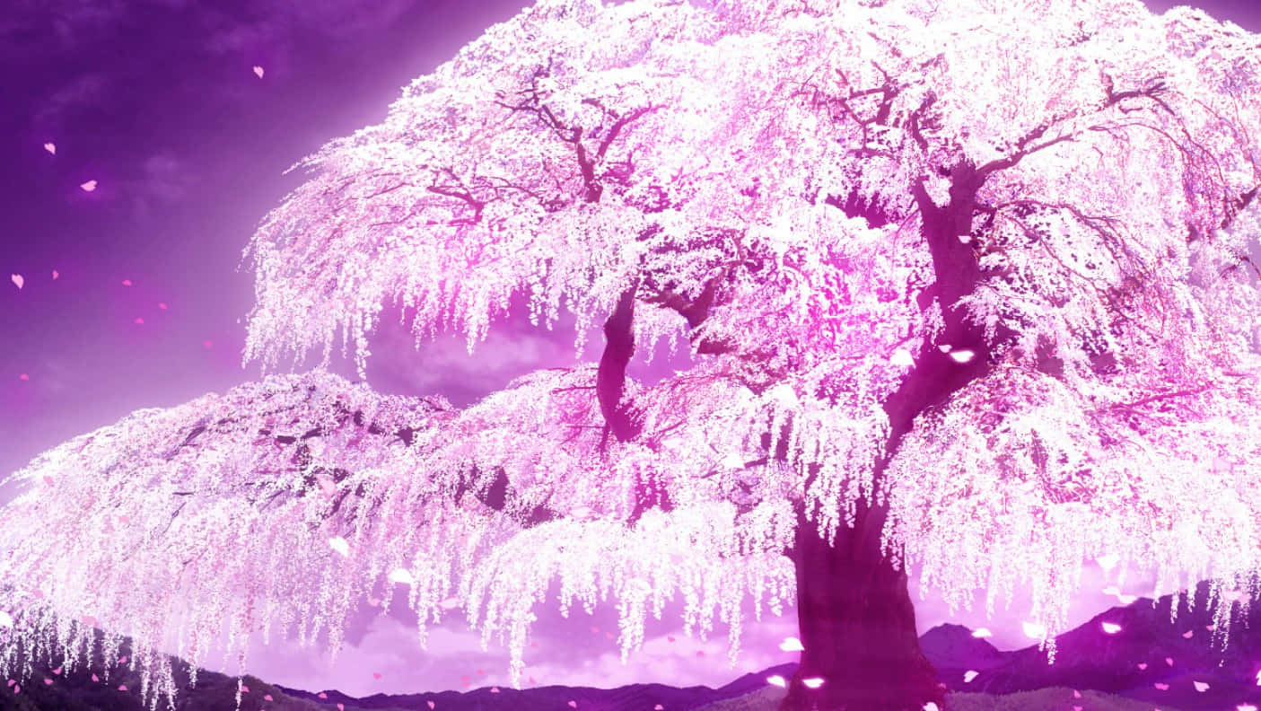 weeping cherry tree, radiant pink, twilight sky, HD Desktop Wallpaper