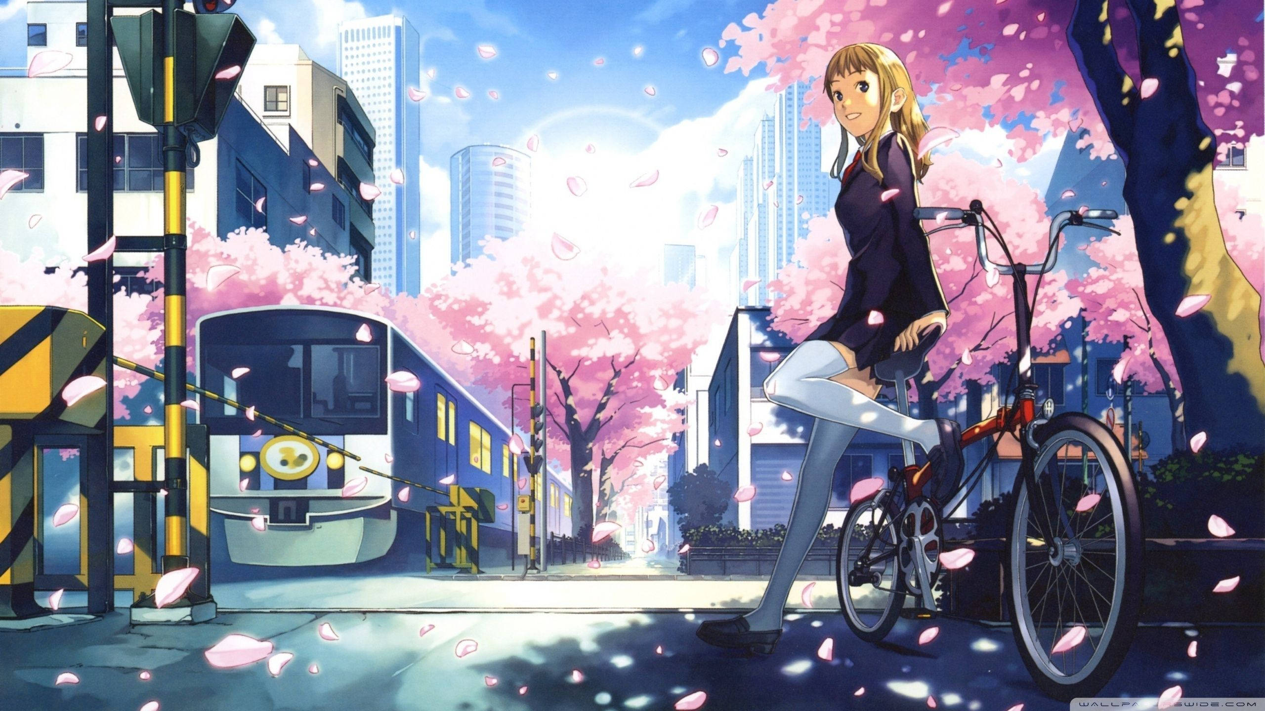 Anime City, cherry blossoms, bicycle, 2K Desktop Wallpaper
