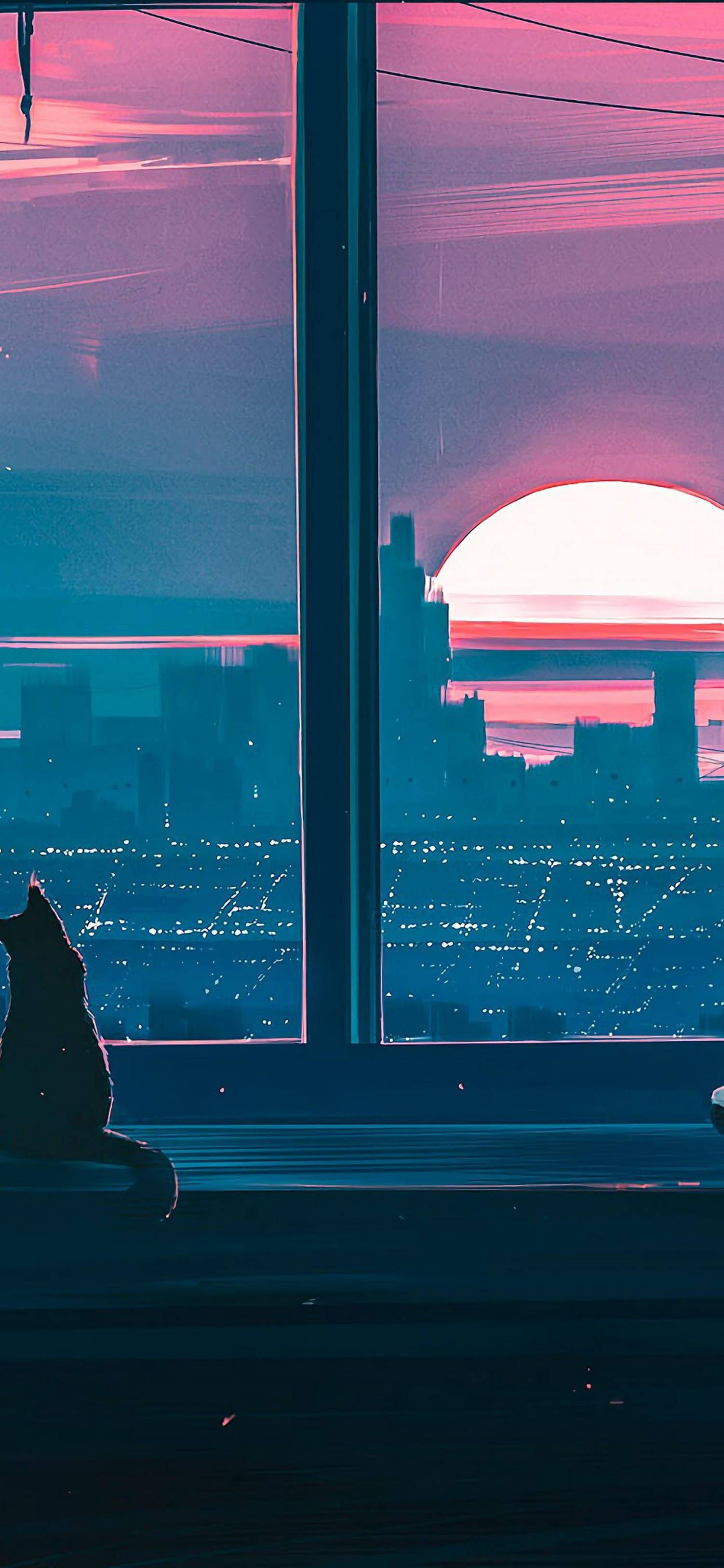 iPhone, sunset, cat, 2K Phone Wallpaper