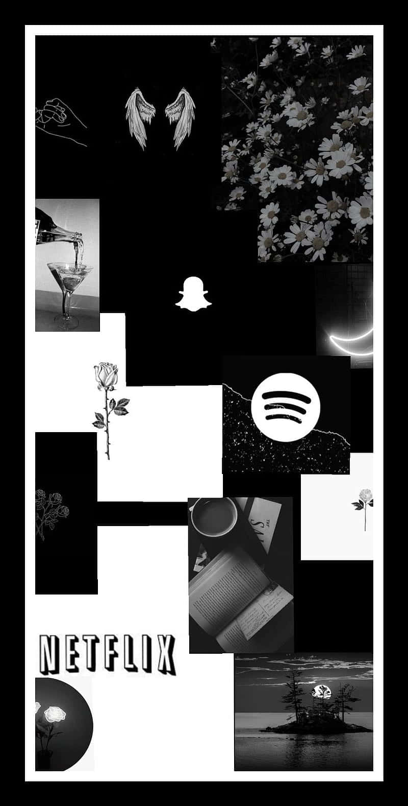 black and white, minimalist icons, roses, HD Phone Wallpaper