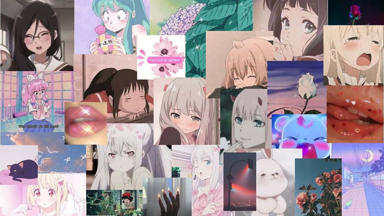 anime collage aesthetic, anime-style girl portraits, flowers, HD Desktop Wallpaper