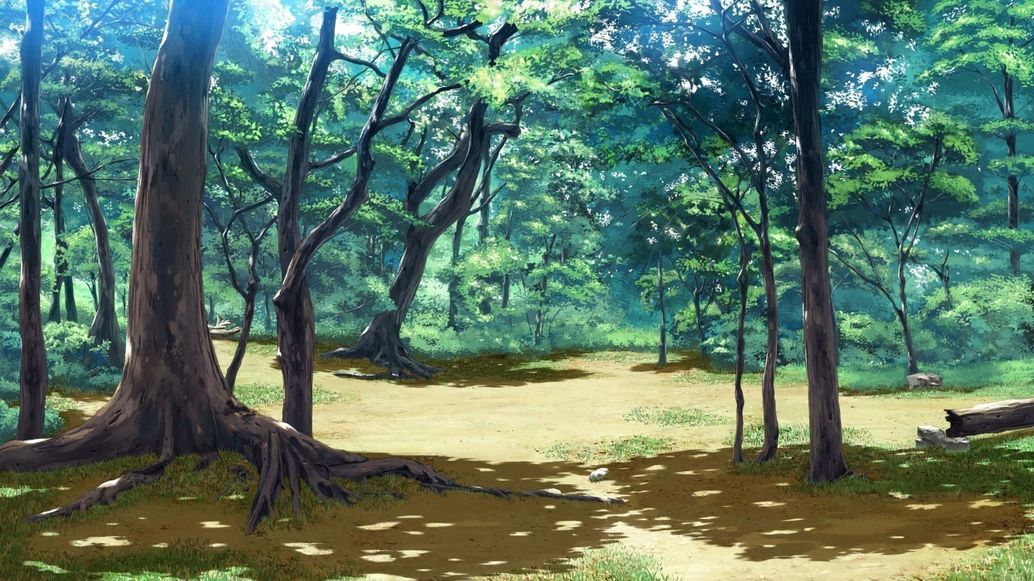 Anime Forest, sunlight, dense green canopy, Full HD Desktop Wallpaper
