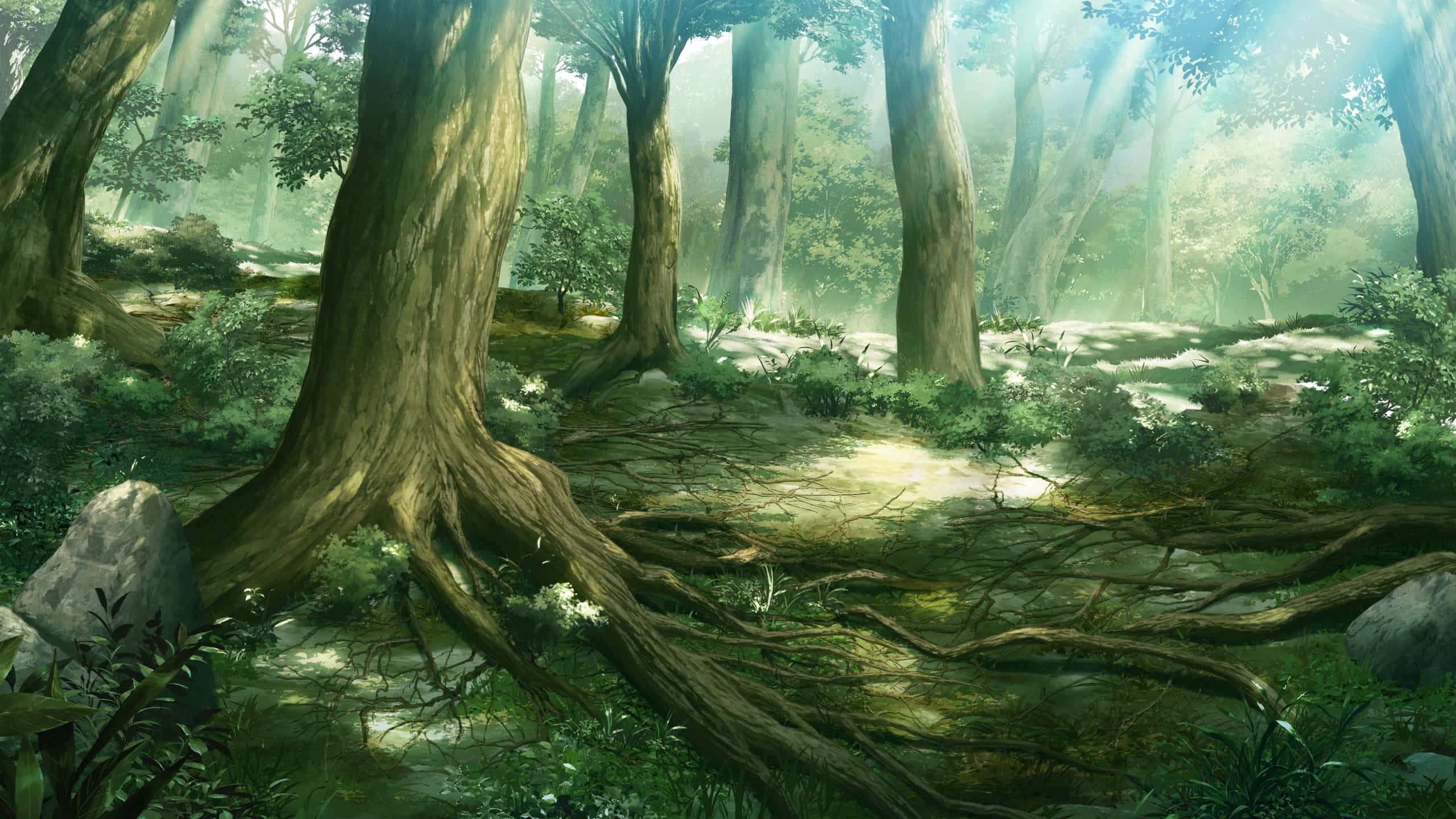 Anime Forest, sunlight, towering trees, 2K Desktop Wallpaper