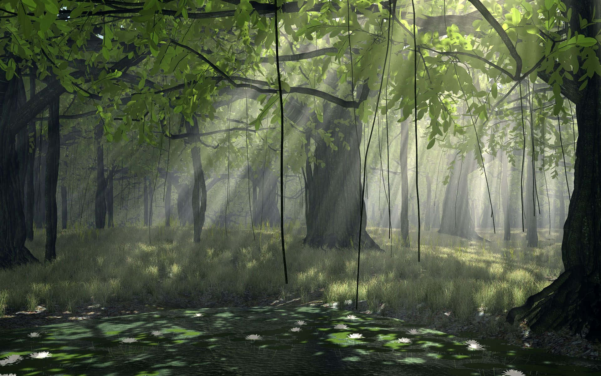 Anime Forest, sunlight, dense green canopy, Full HD Desktop Wallpaper