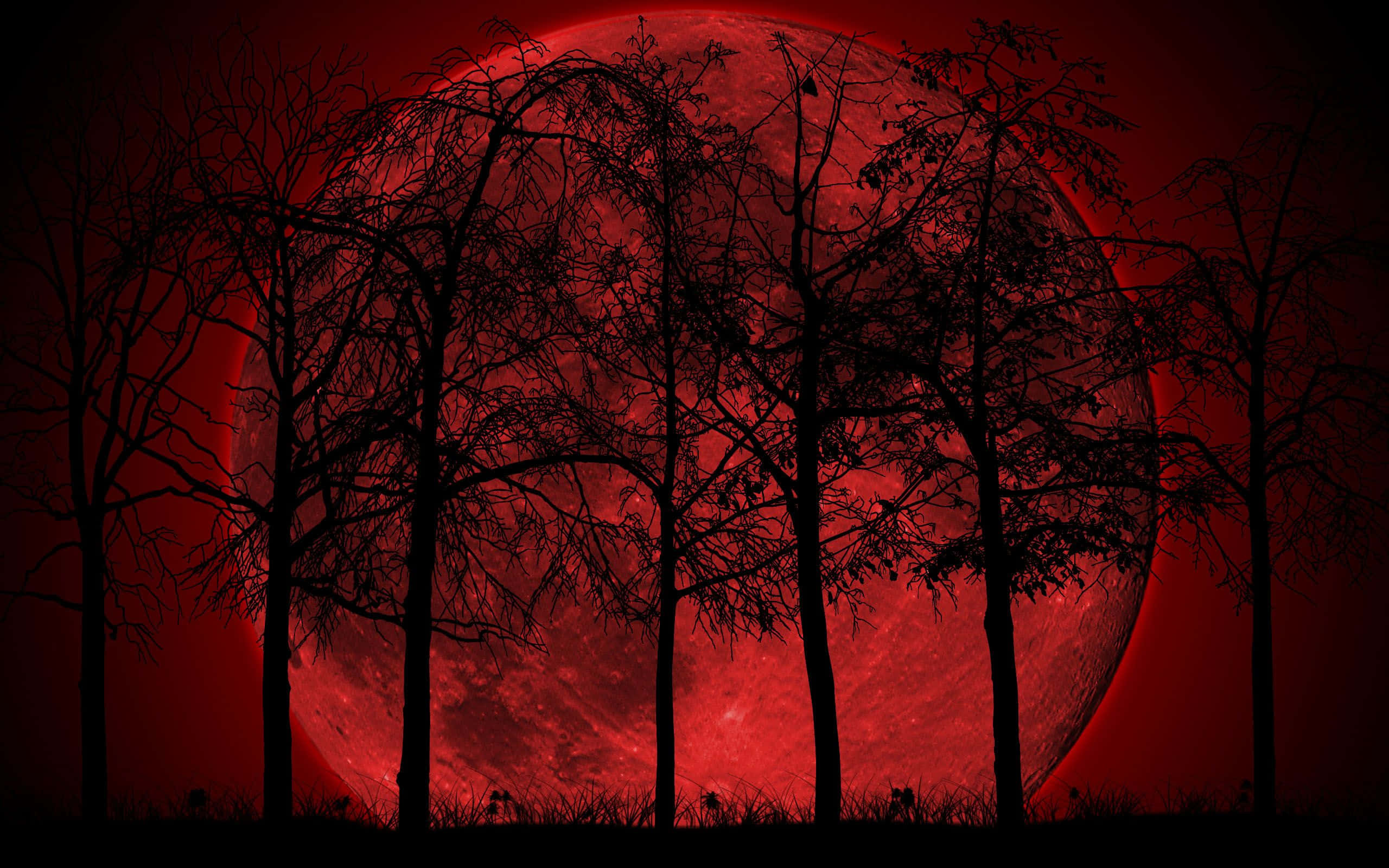 Anime Forest, glowing red moon, crimson glow, 2K Desktop Wallpaper