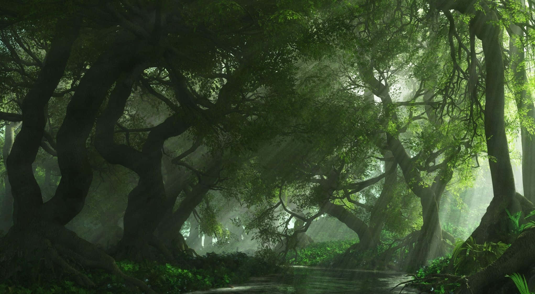 Anime Forest, sunlight, ancient gnarled trees, Full HD Desktop Wallpaper