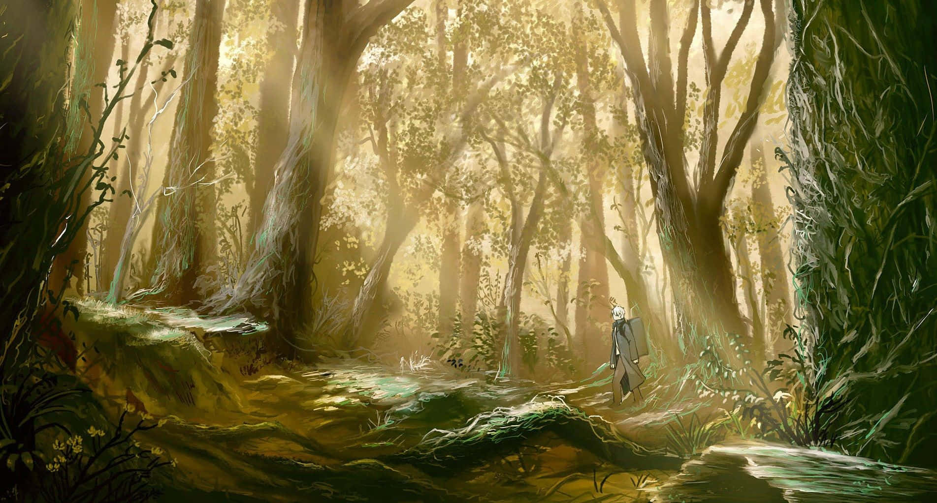 Anime Forest, sun-dappled forest, towering trees, HD Desktop Wallpaper