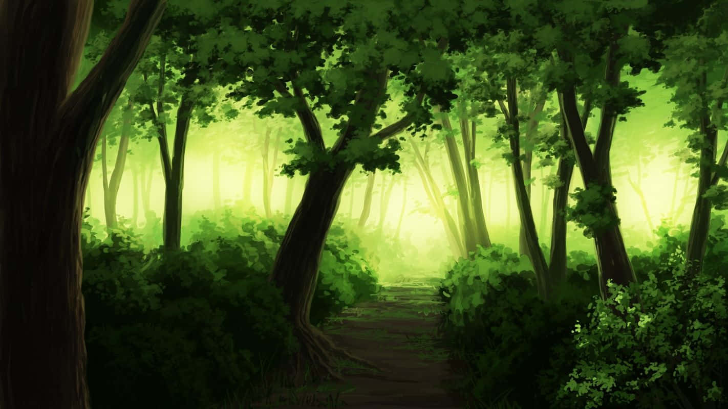 Anime Forest, green light, winding forest path, HD Desktop Wallpaper