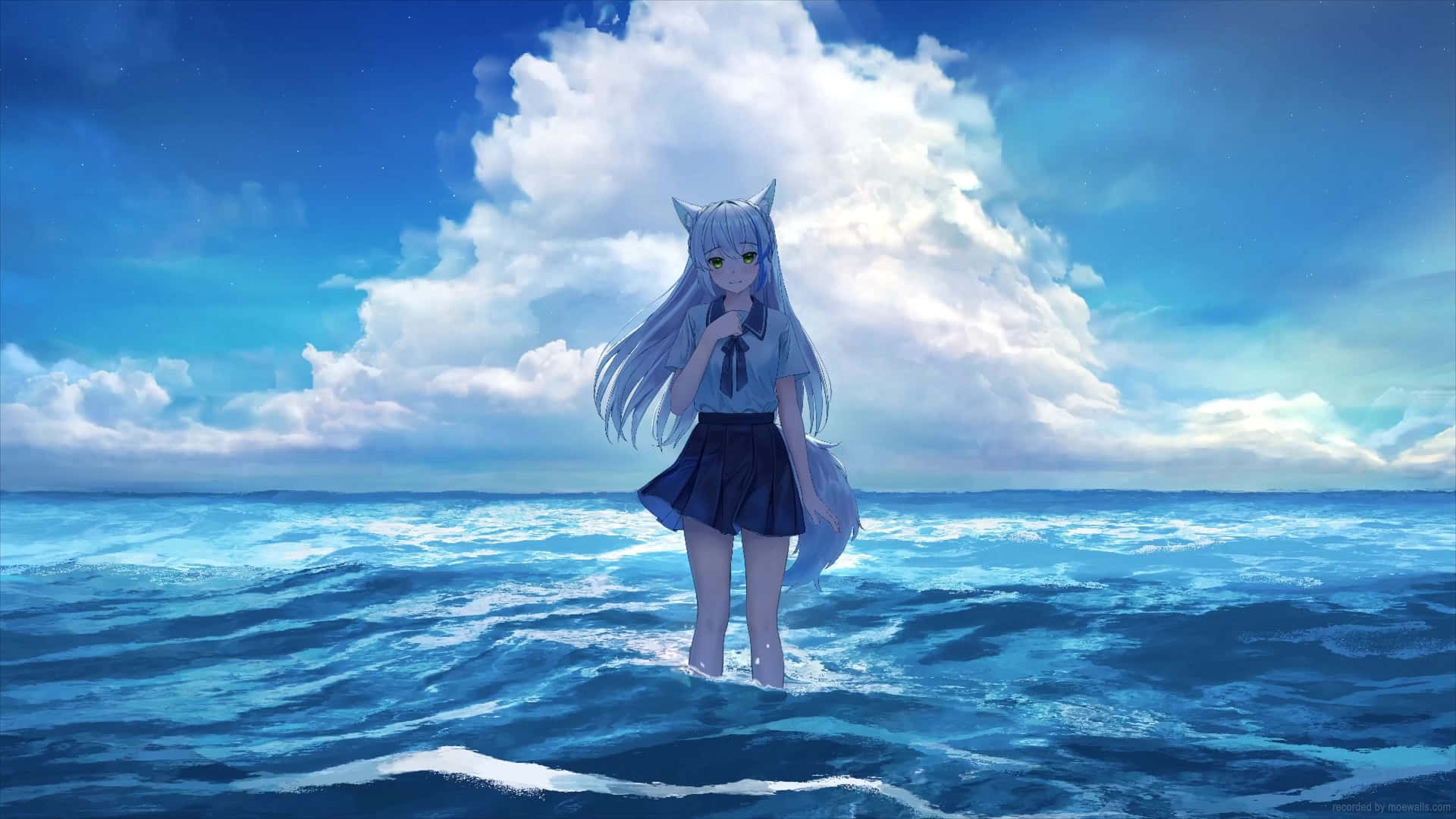 anime fox girl, blue-haired, fox-eared, Full HD Desktop Wallpaper