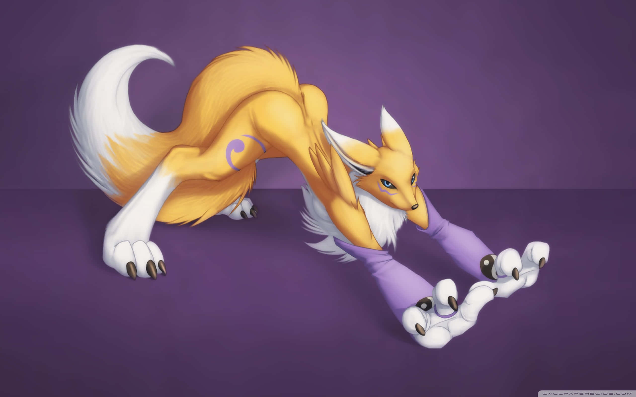 anime fox, orange fur, white markings, 2K Desktop Wallpaper