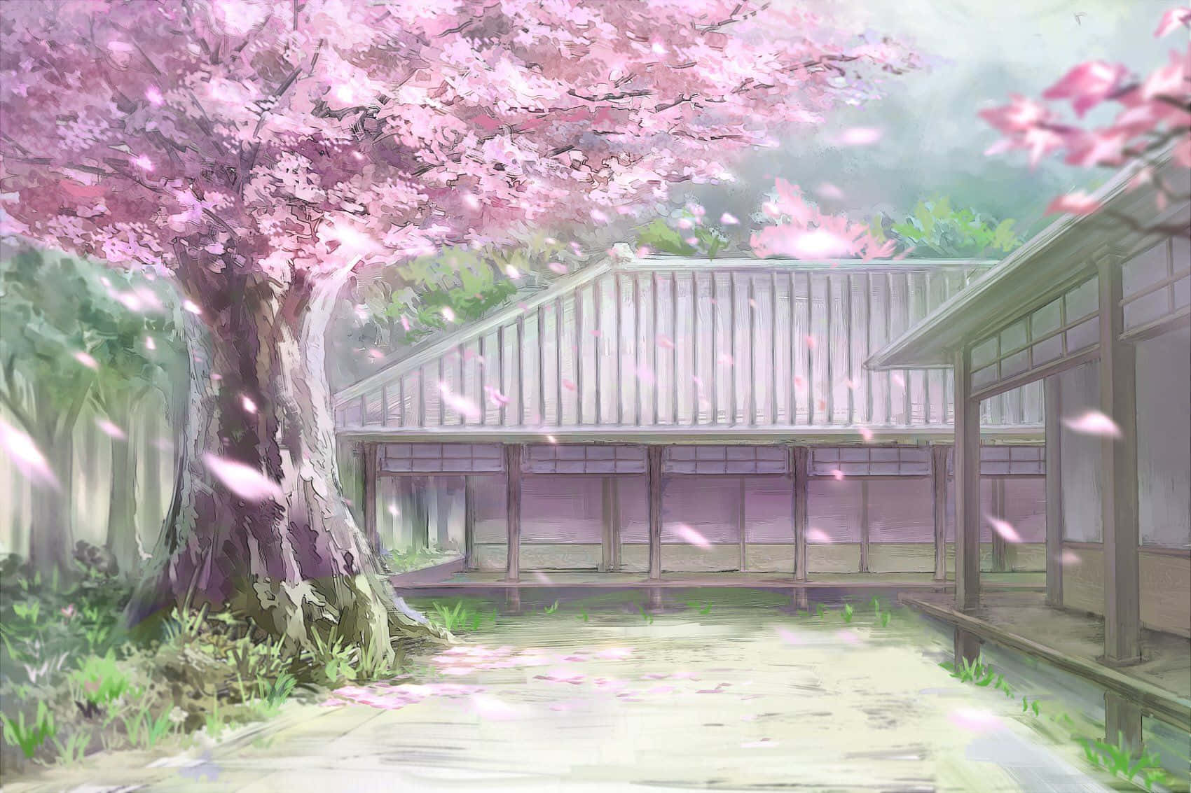 cherry blossoms, anime scenery, traditional wooden Japanese house, HD Desktop Wallpaper