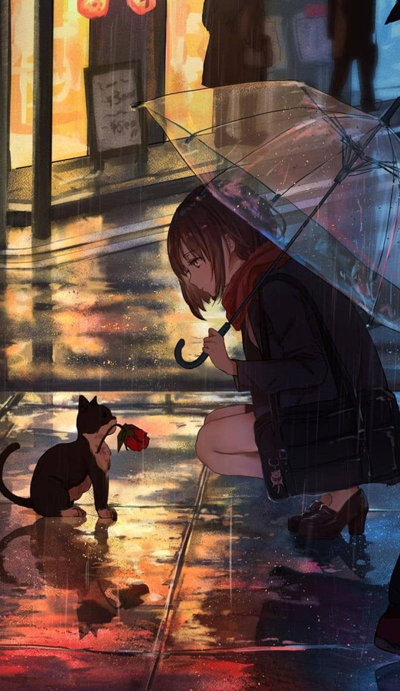 Anime Girl Phone, black cat, red rose, HD Phone Wallpaper