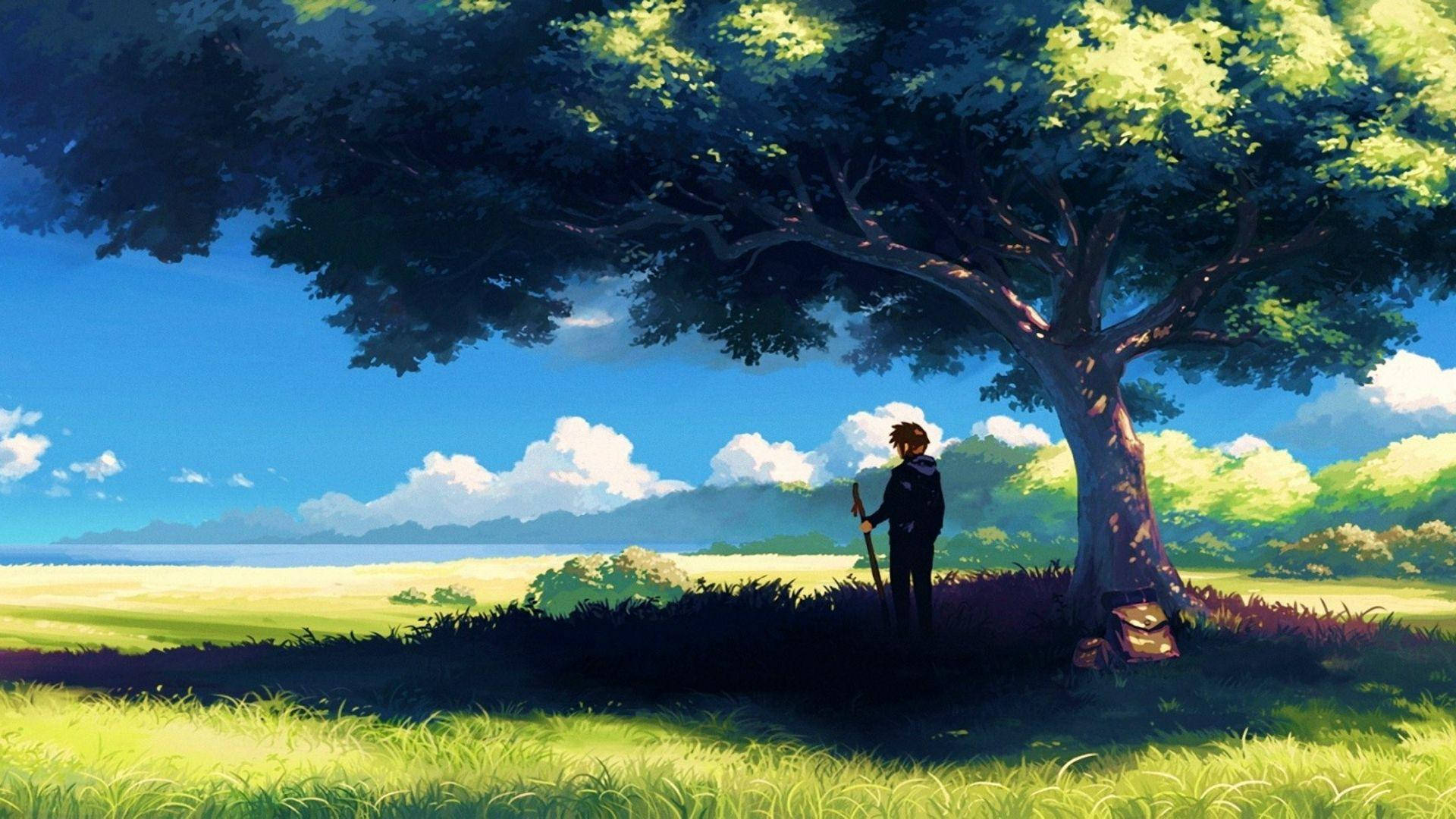 Anime Landscape, man, tree, Full HD Desktop Wallpaper