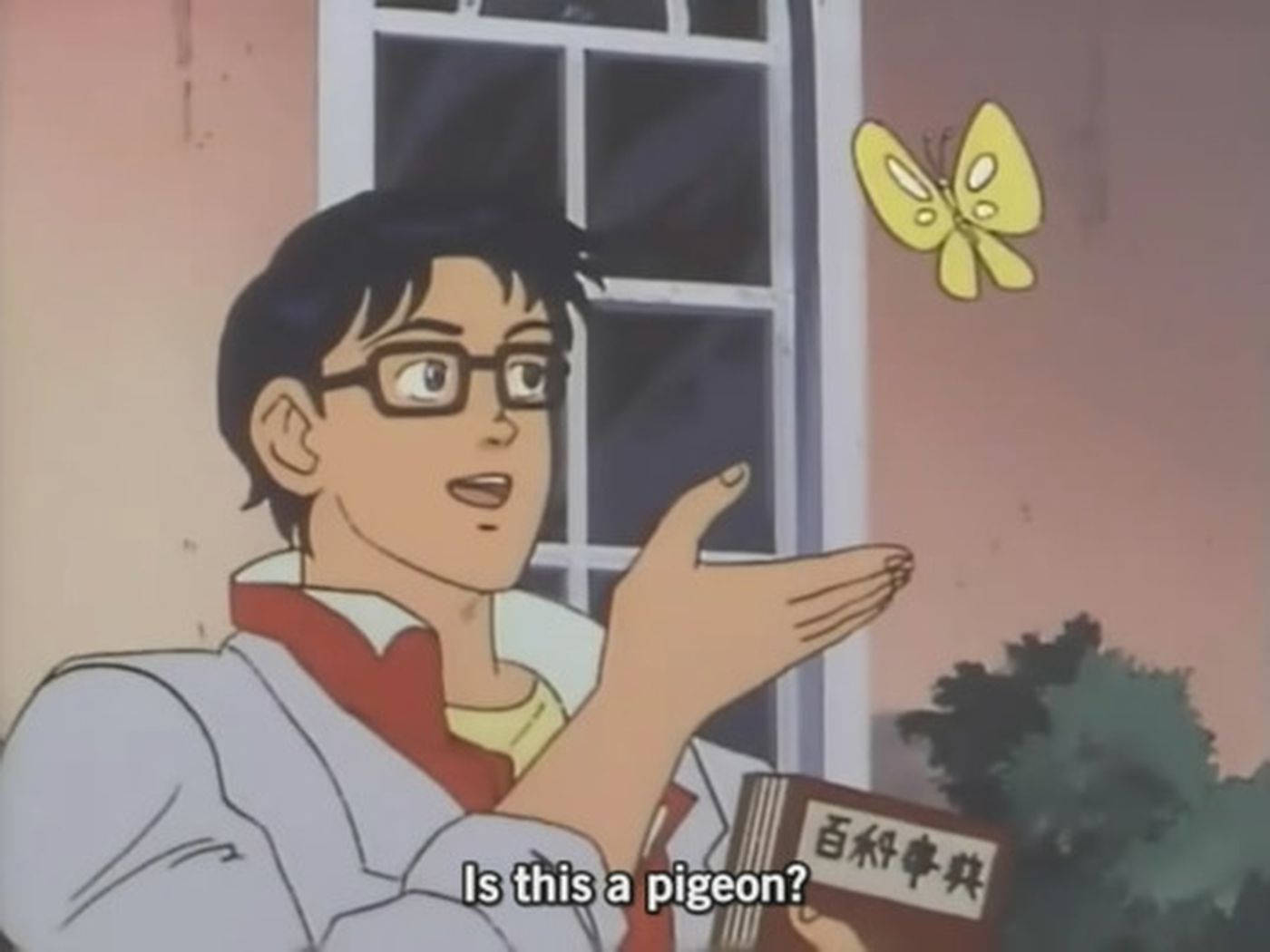 Anime Meme PFP, butterfly, pigeon guy, HD Desktop Wallpaper