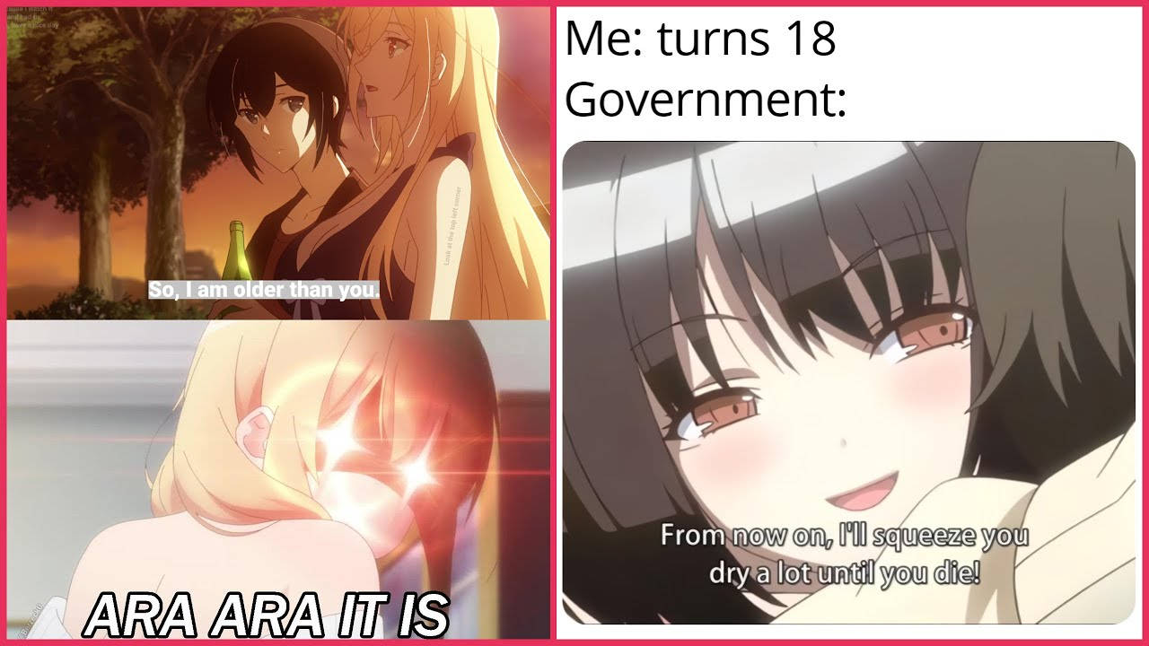 Anime meme, girl turning 18, government agent, HD Desktop Wallpaper