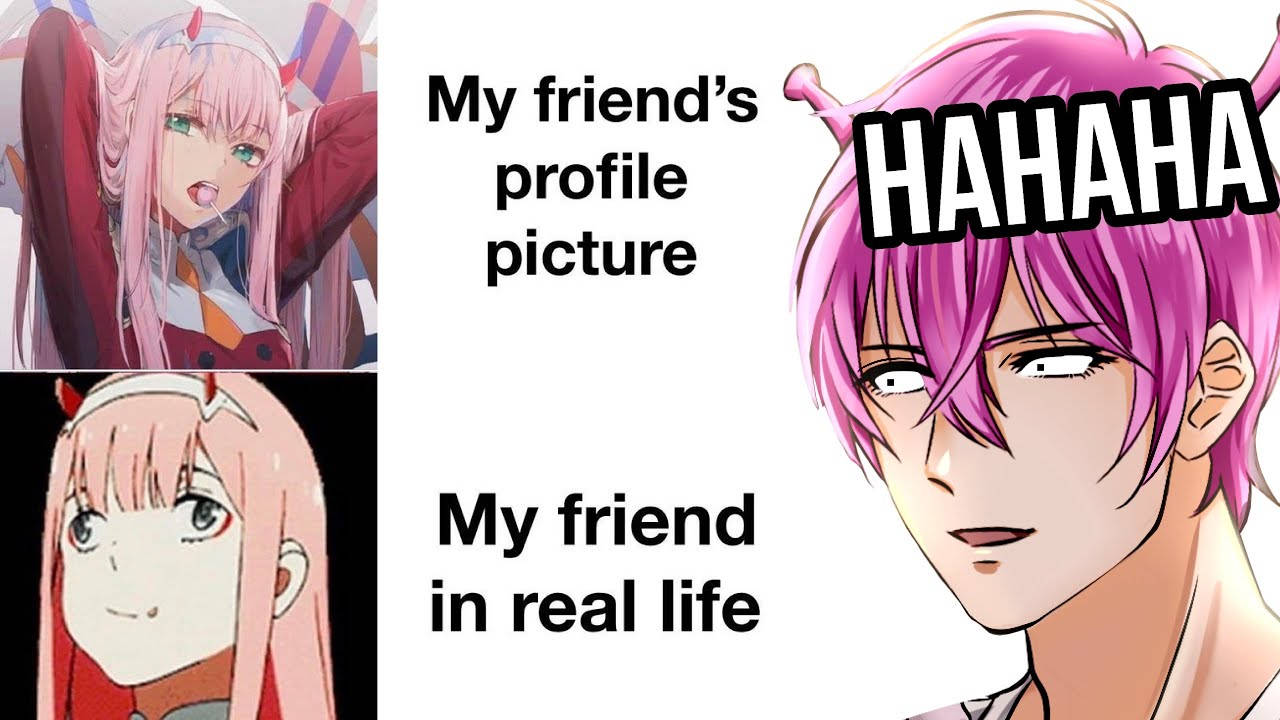 Anime meme, profile picture, pink-haired characters, HD Desktop Wallpaper