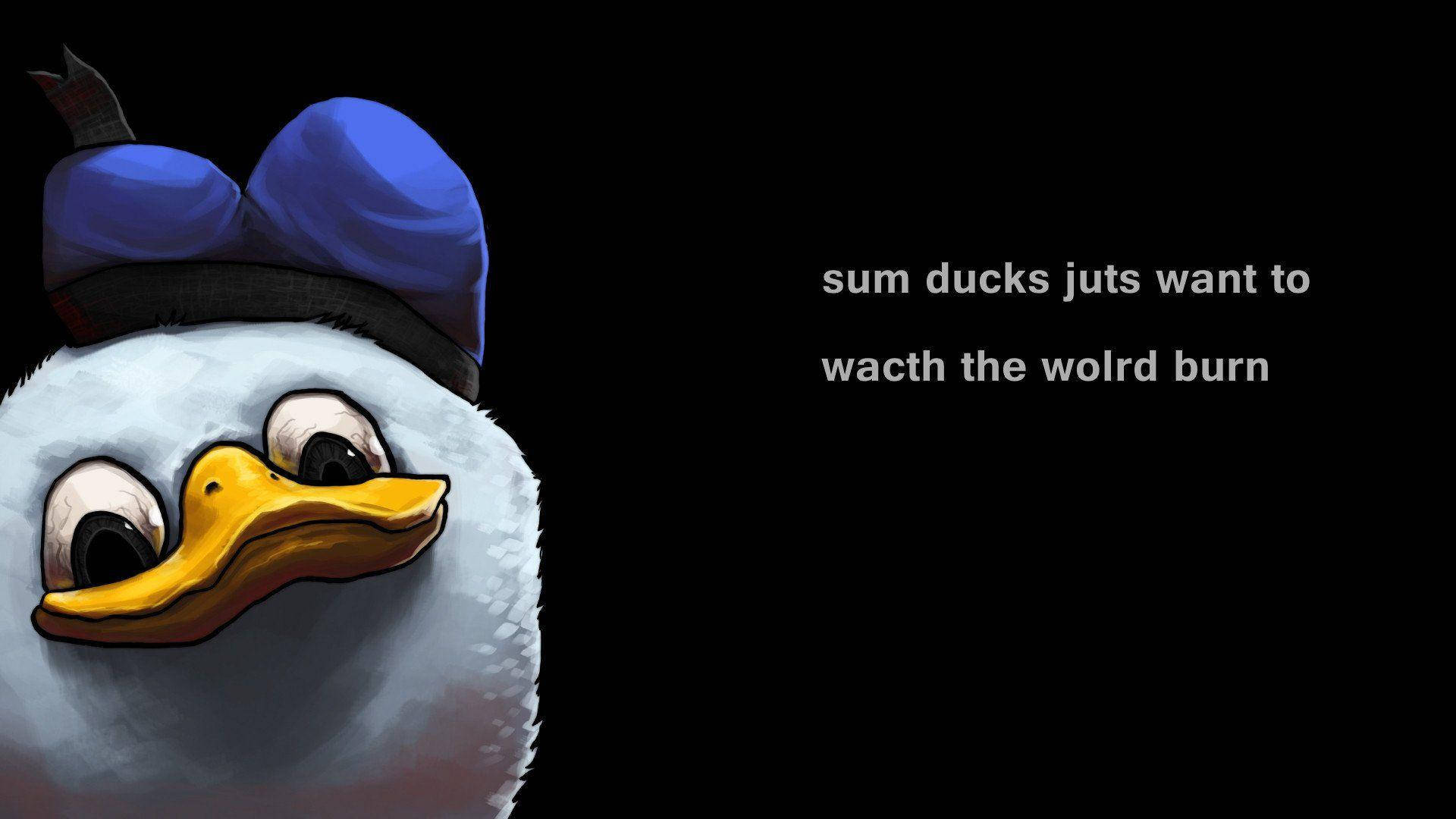 cynical duck, blue hat, black background, Full HD Desktop Wallpaper