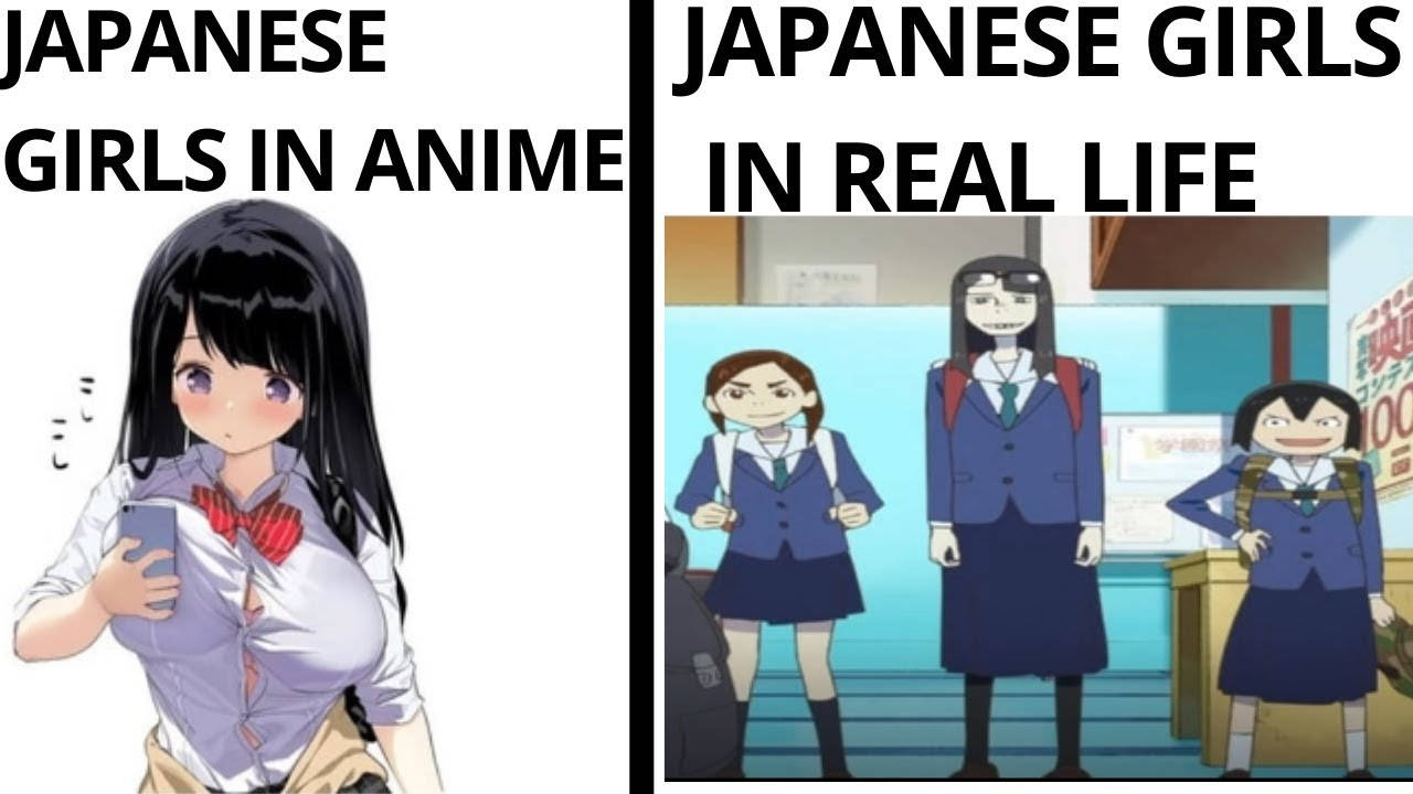 Anime Meme, Japanese girls, stylized anime girls, HD Desktop Wallpaper