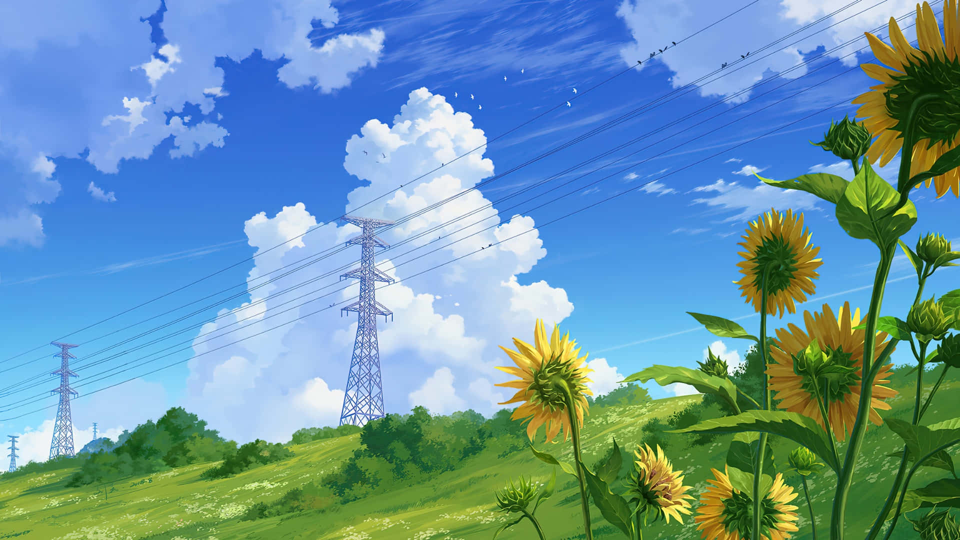 sunny anime landscape, sunflowers, lush green hill, Full HD Desktop Wallpaper