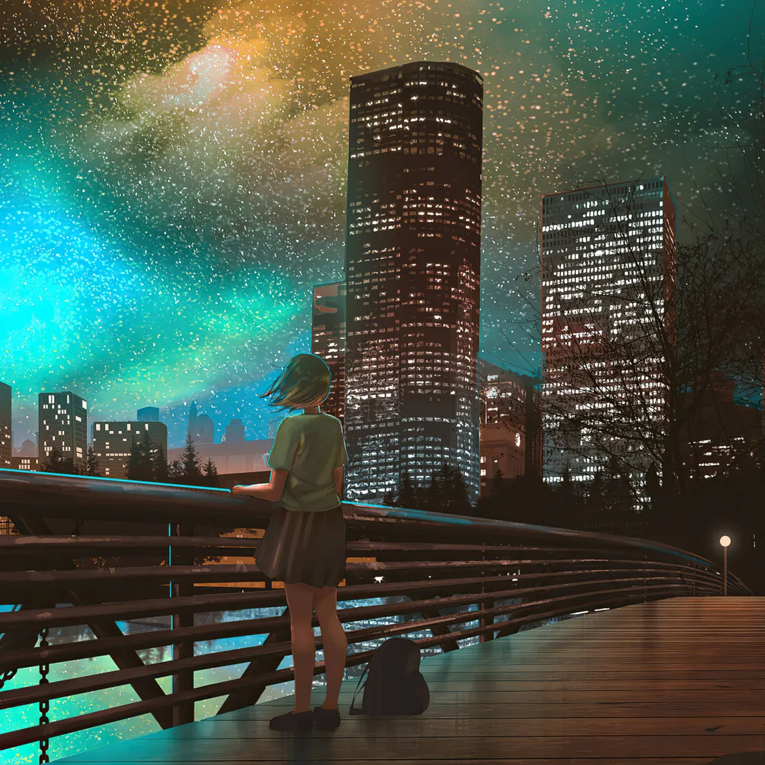 Anime Night Sky
