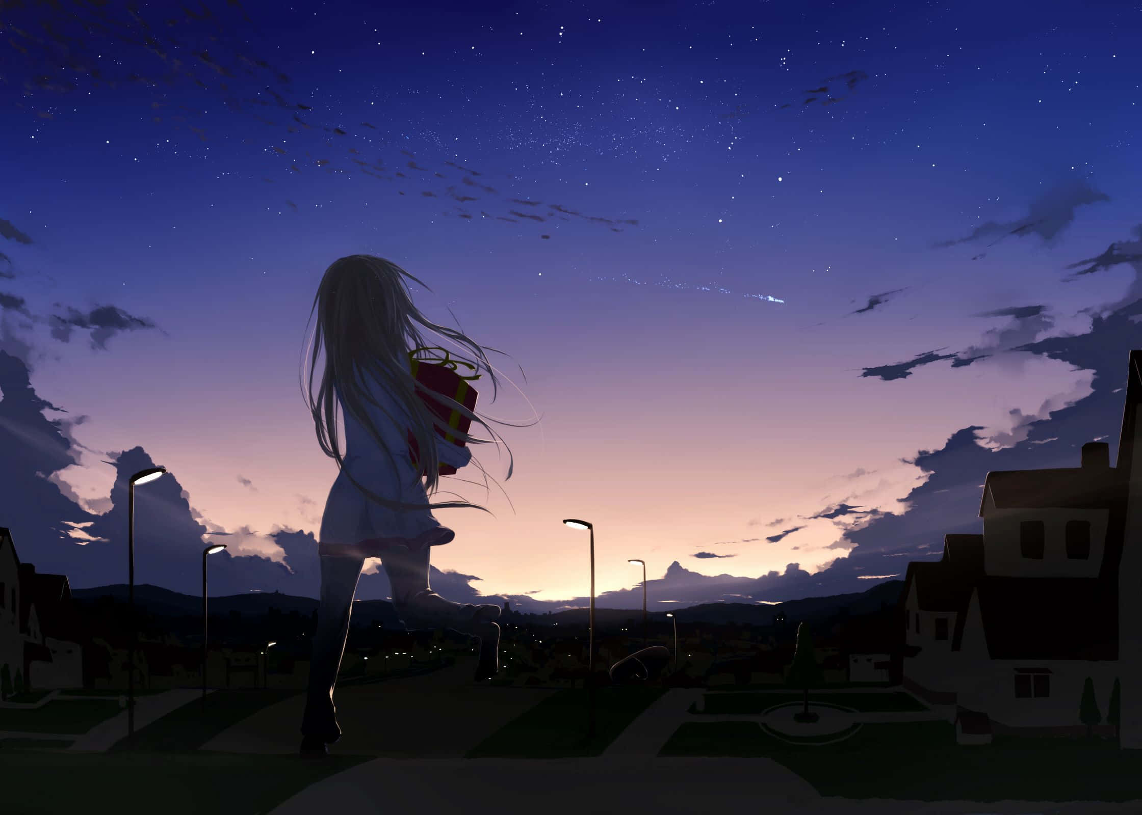 Anime Night, anime girl, long hair, Full HD Desktop Wallpaper