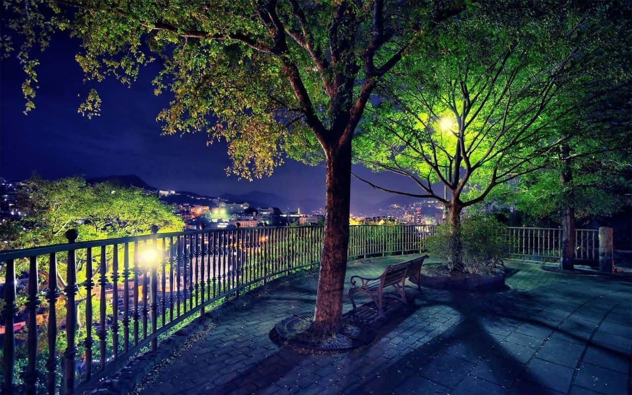 Anime Park, glowing tree, bench, HD Desktop Wallpaper