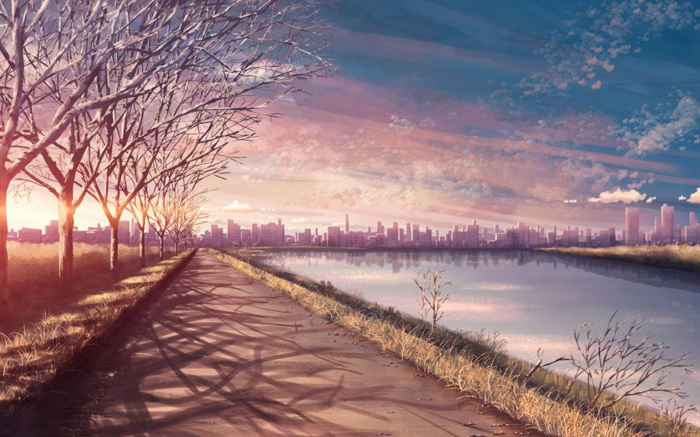 serene sunset, bare trees, distant city skyline, HD Desktop Wallpaper