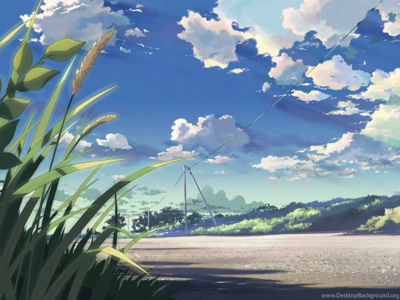 Anime Summer Background Scenery Desktop, tall grass, bright blue sky, HD Desktop Wallpaper